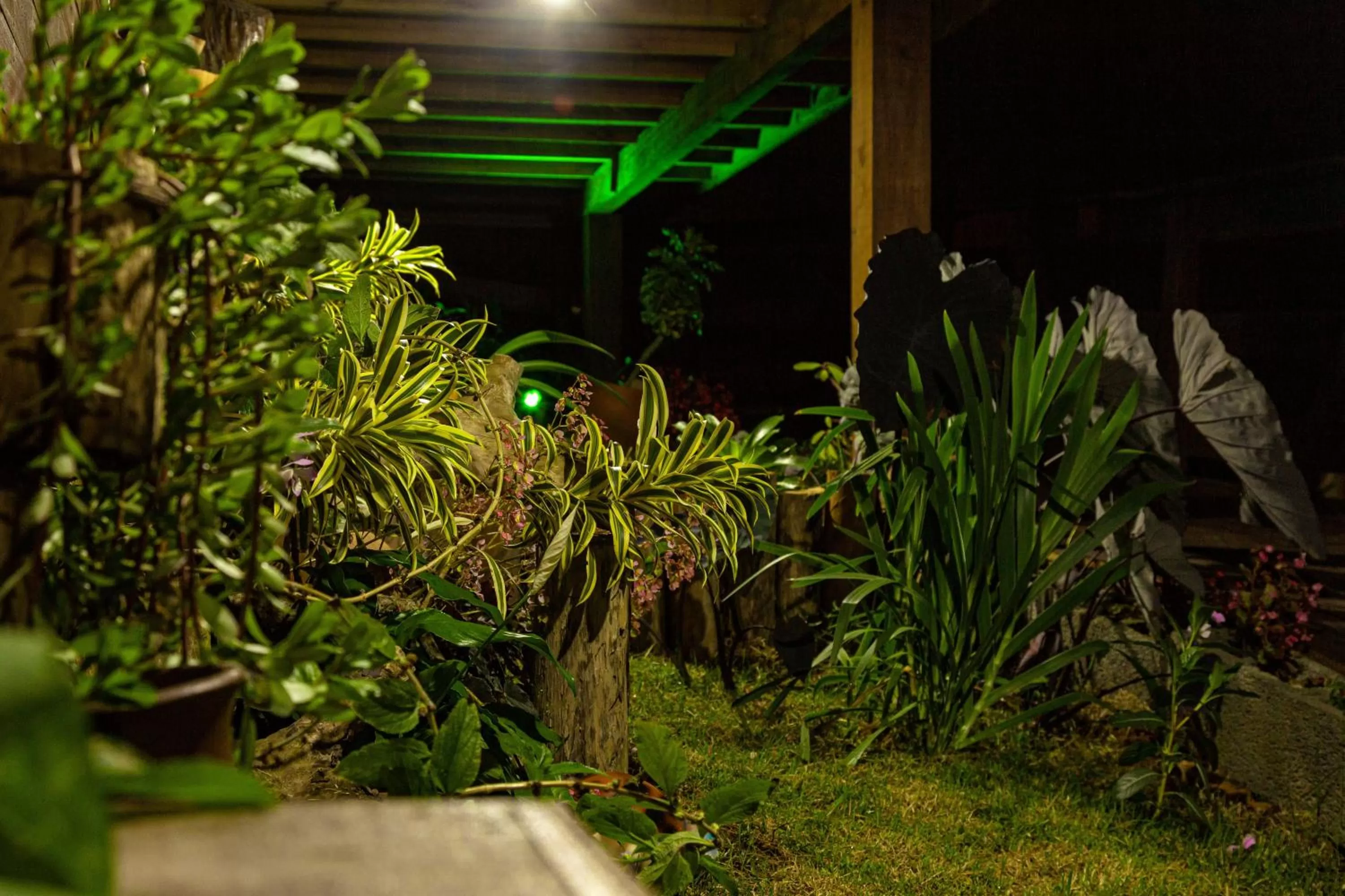 Garden in Pousada Vida Simples