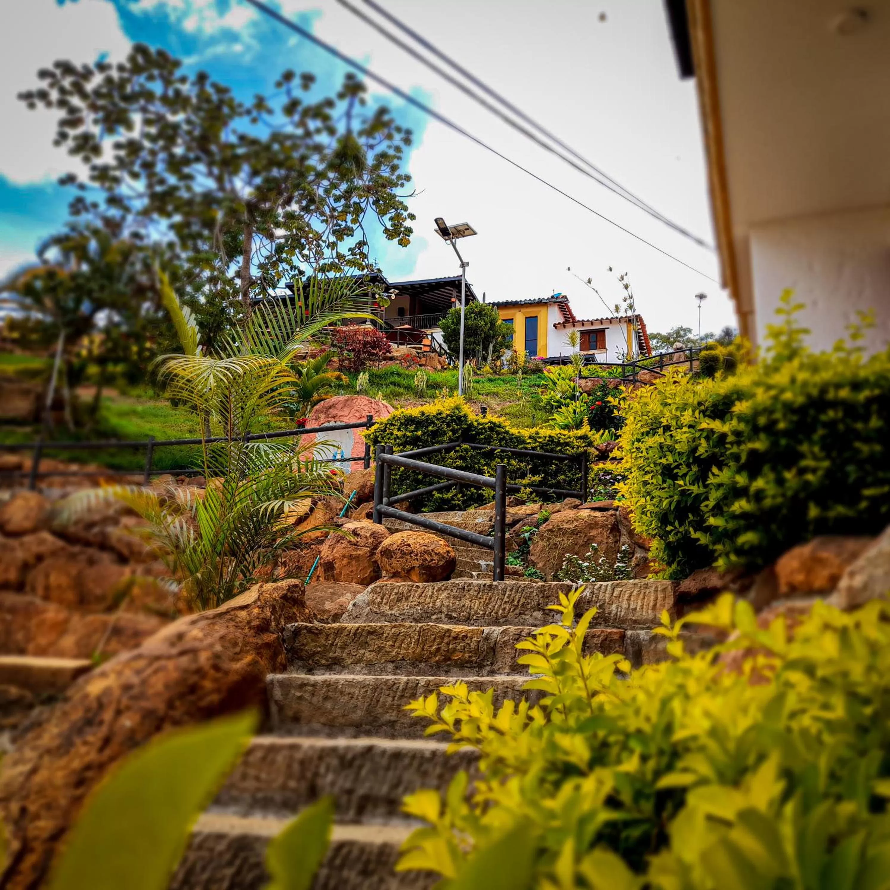 Garden, Property Building in Hotel Las Rocas Resort Villanueva