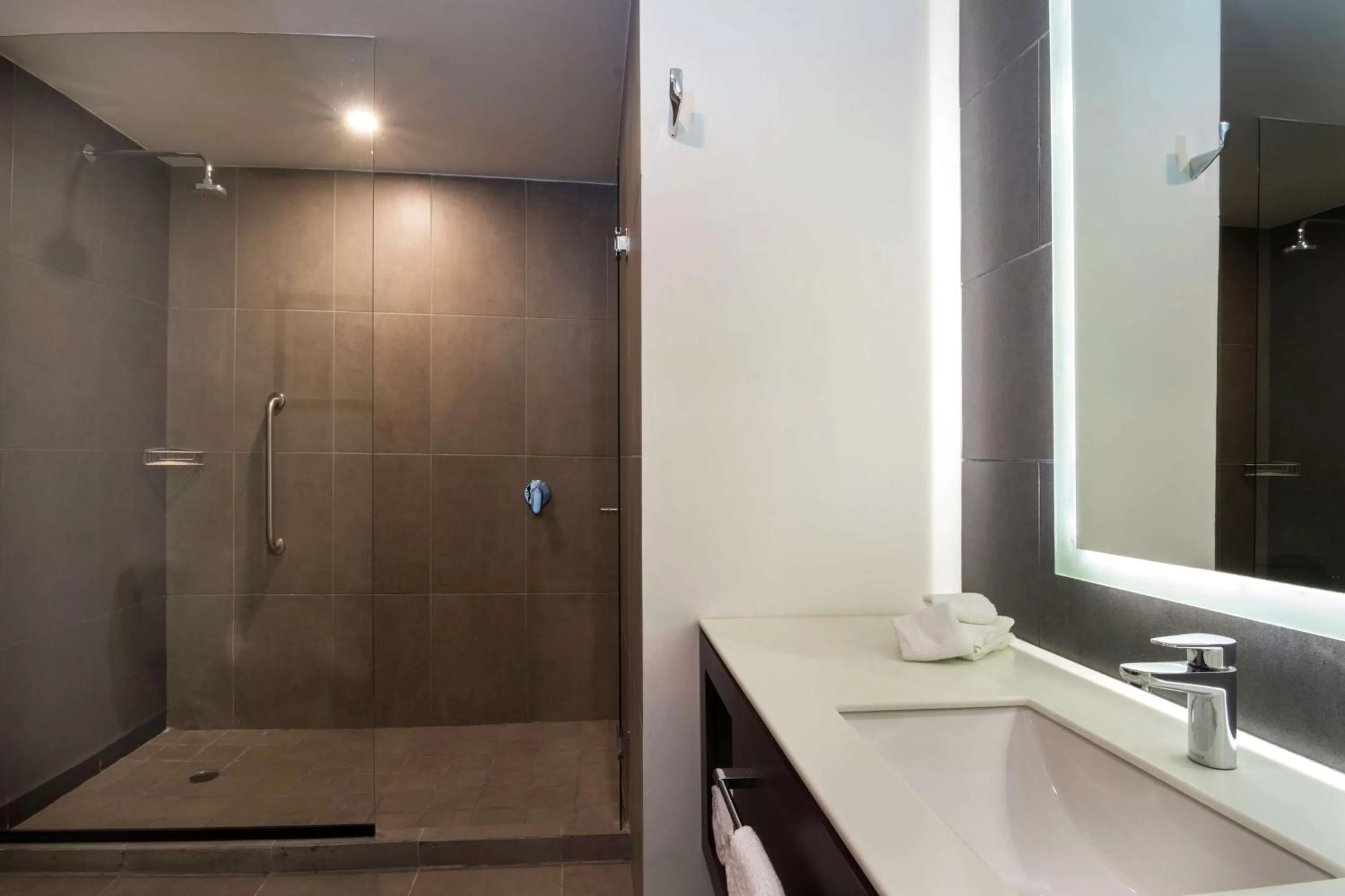 Shower in Hampton Inn By Hilton San Luis Potosi