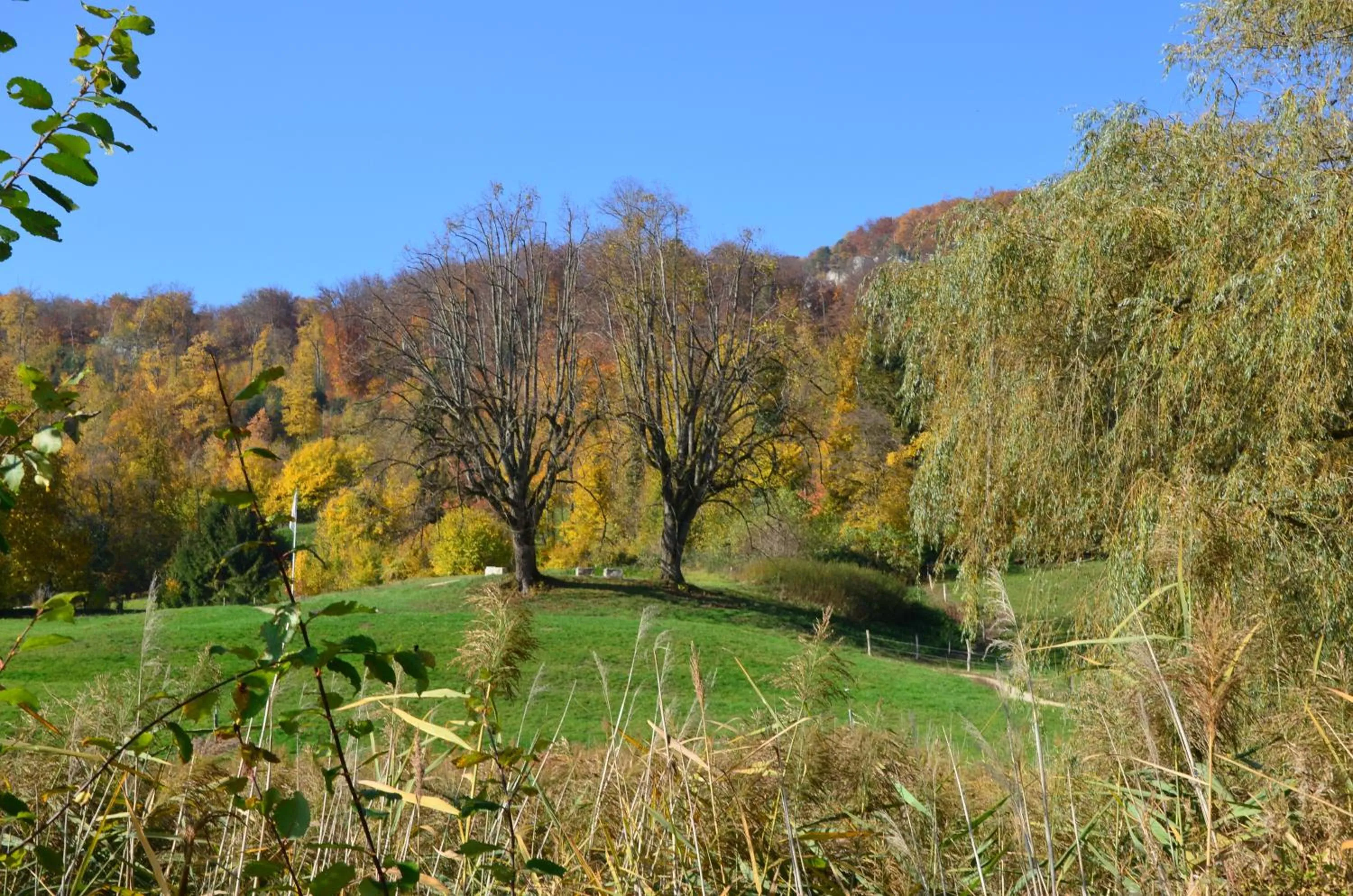 Day in Bad Schauenburg