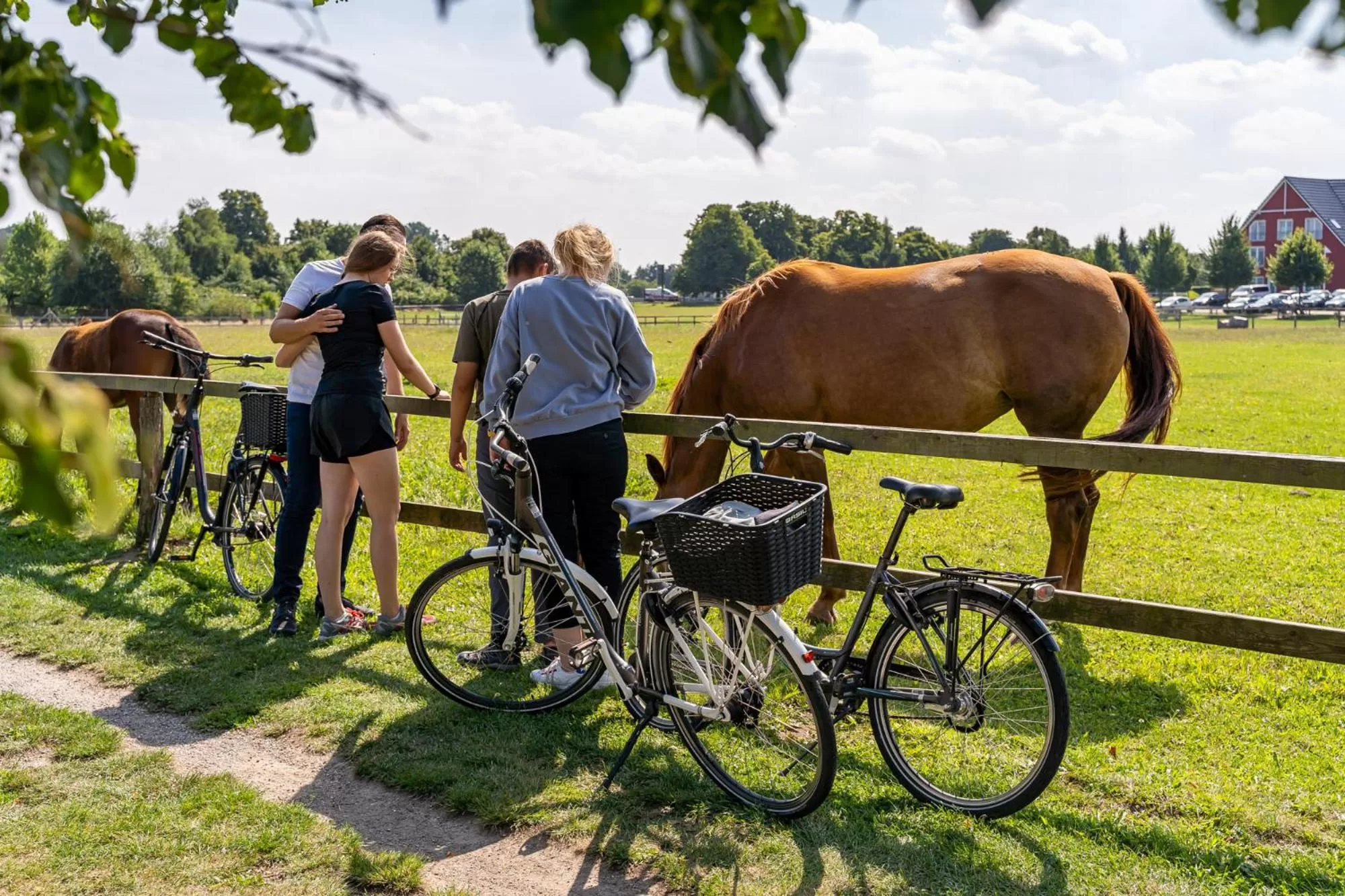 Cycling in Strandhafer Aparthotel