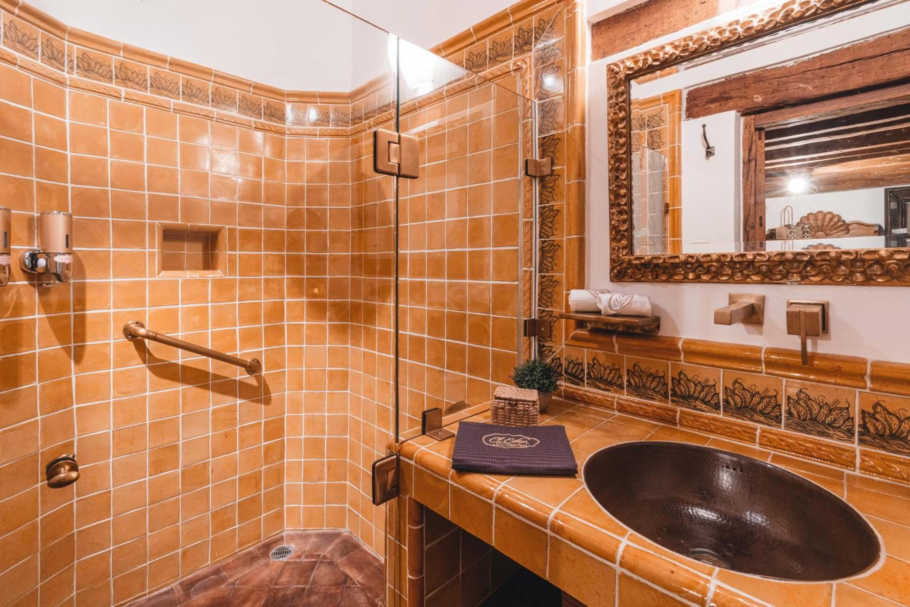 Shower, Bathroom in El Edén Hotel Boutique