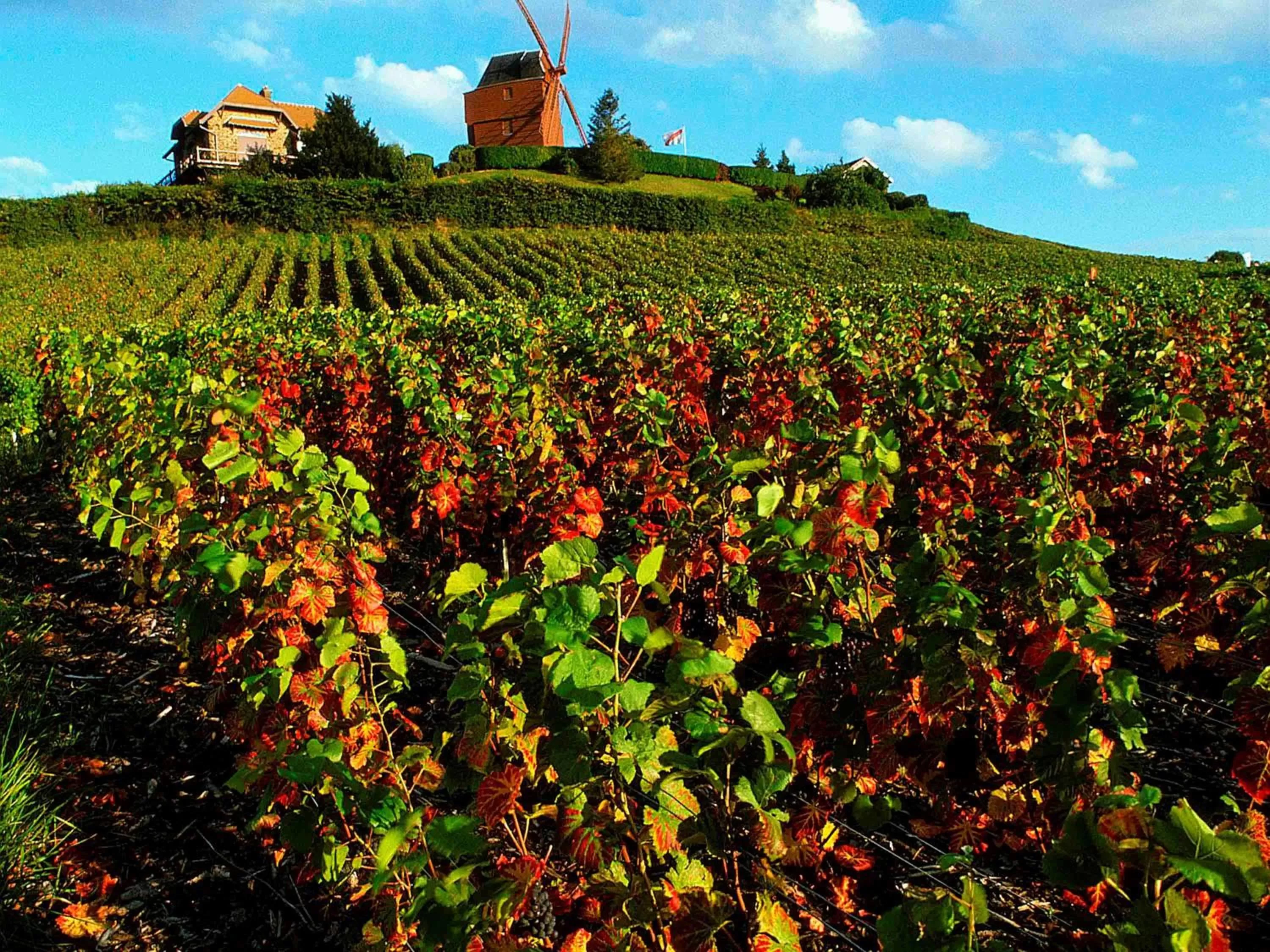 On site in Mercure Reims Centre Cathédrale