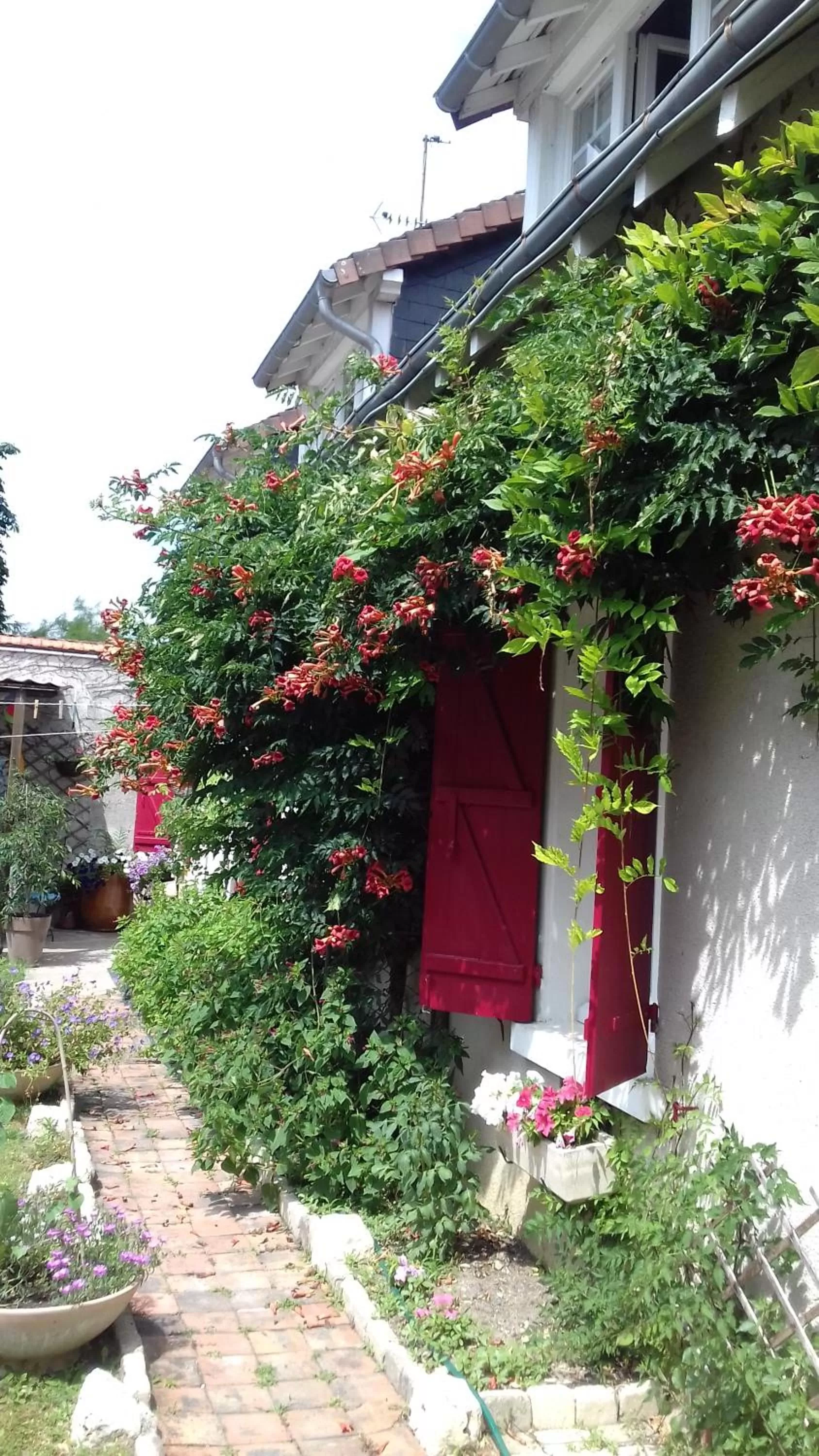 Facade/entrance in 18 châteaux et Beauval sur un rayon de 30 km