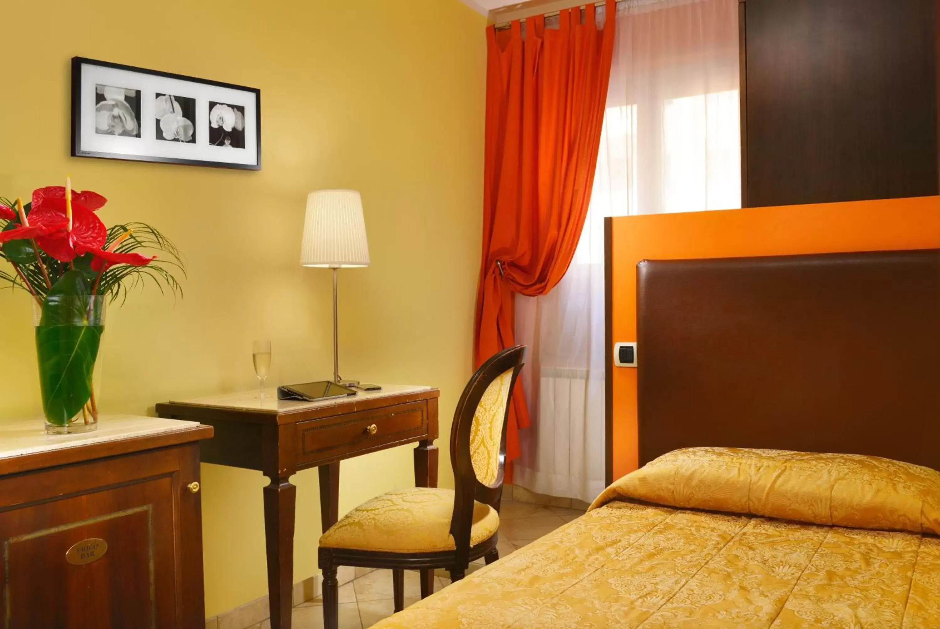Single Room - single occupancy in Hotel Tuscolana Single Room - single occupancy in Hotel Tuscolana