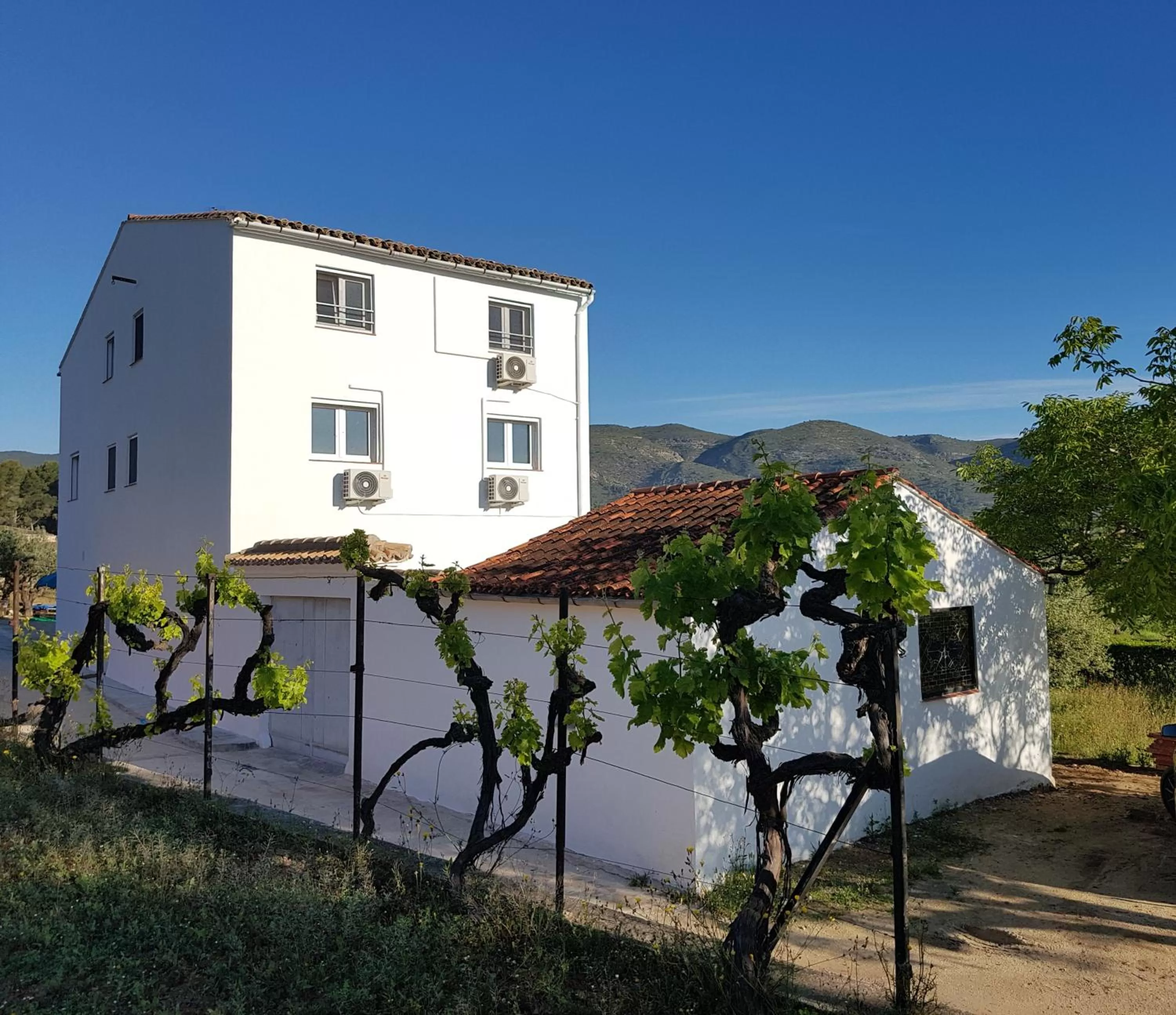 Property building in Finca La Higuera - Boutique B&B