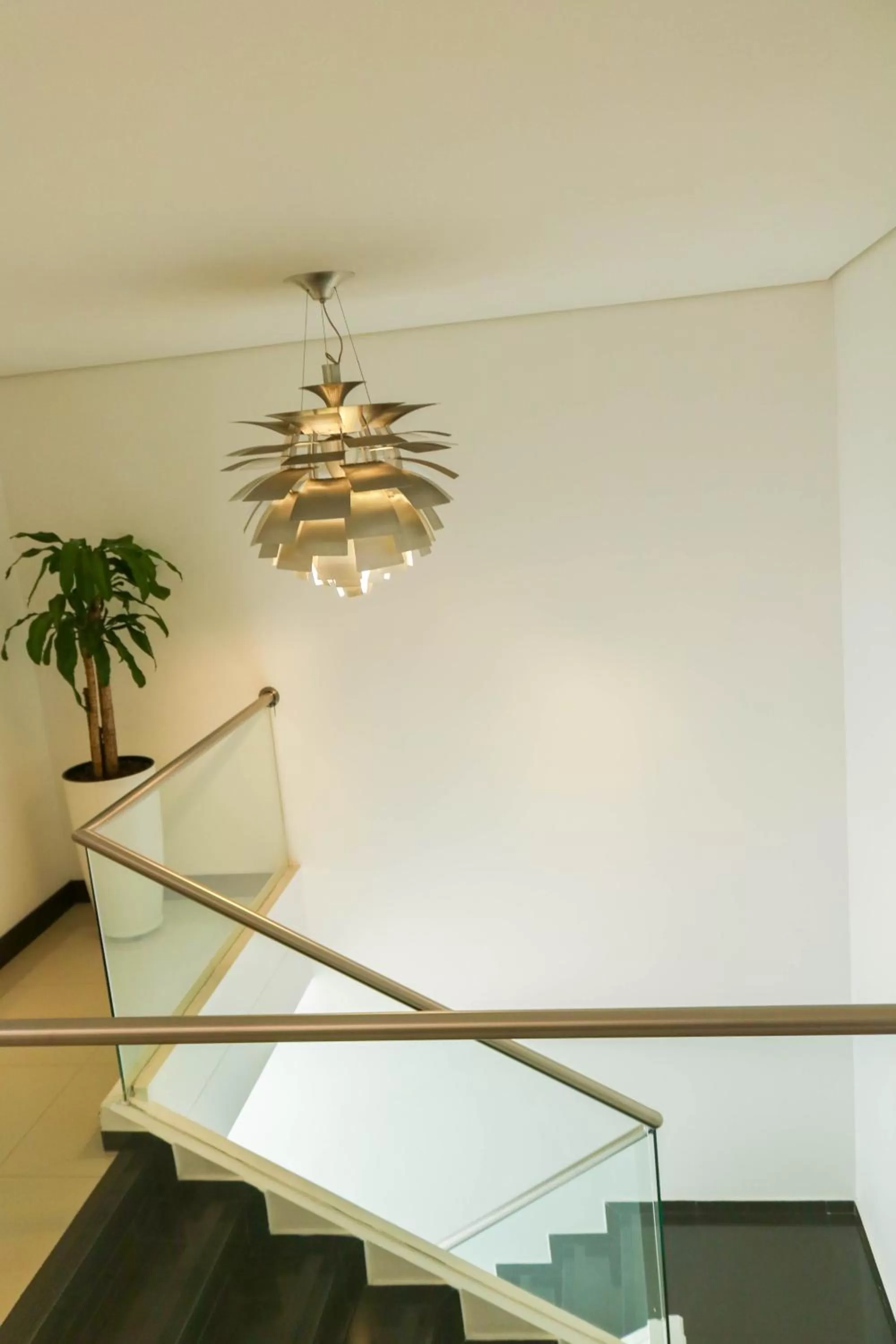 Area and facilities in Hotel Loyds