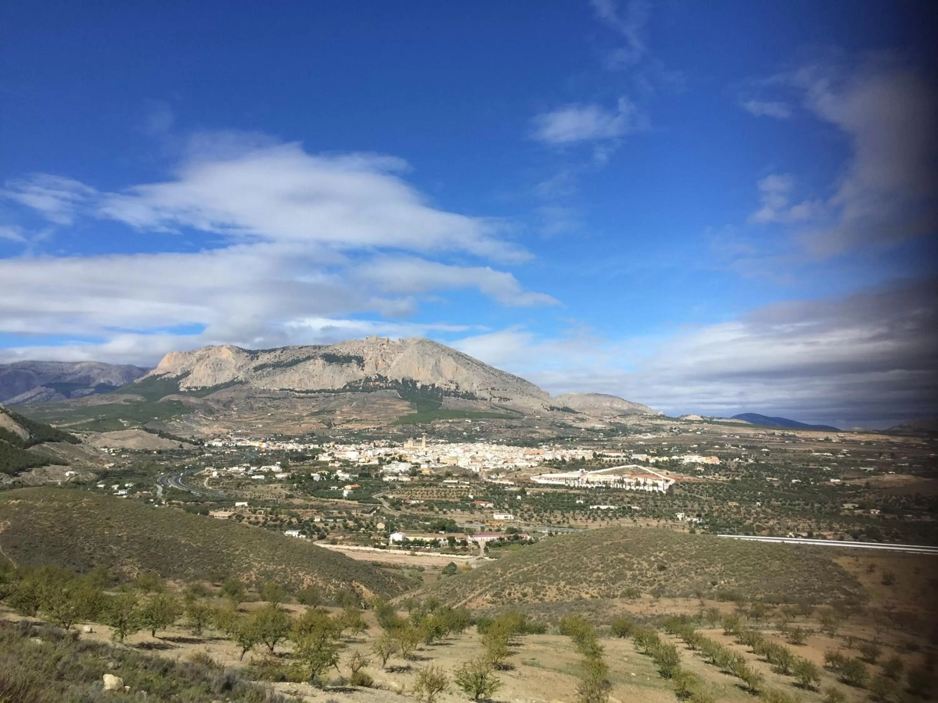 Las Persianas Azules