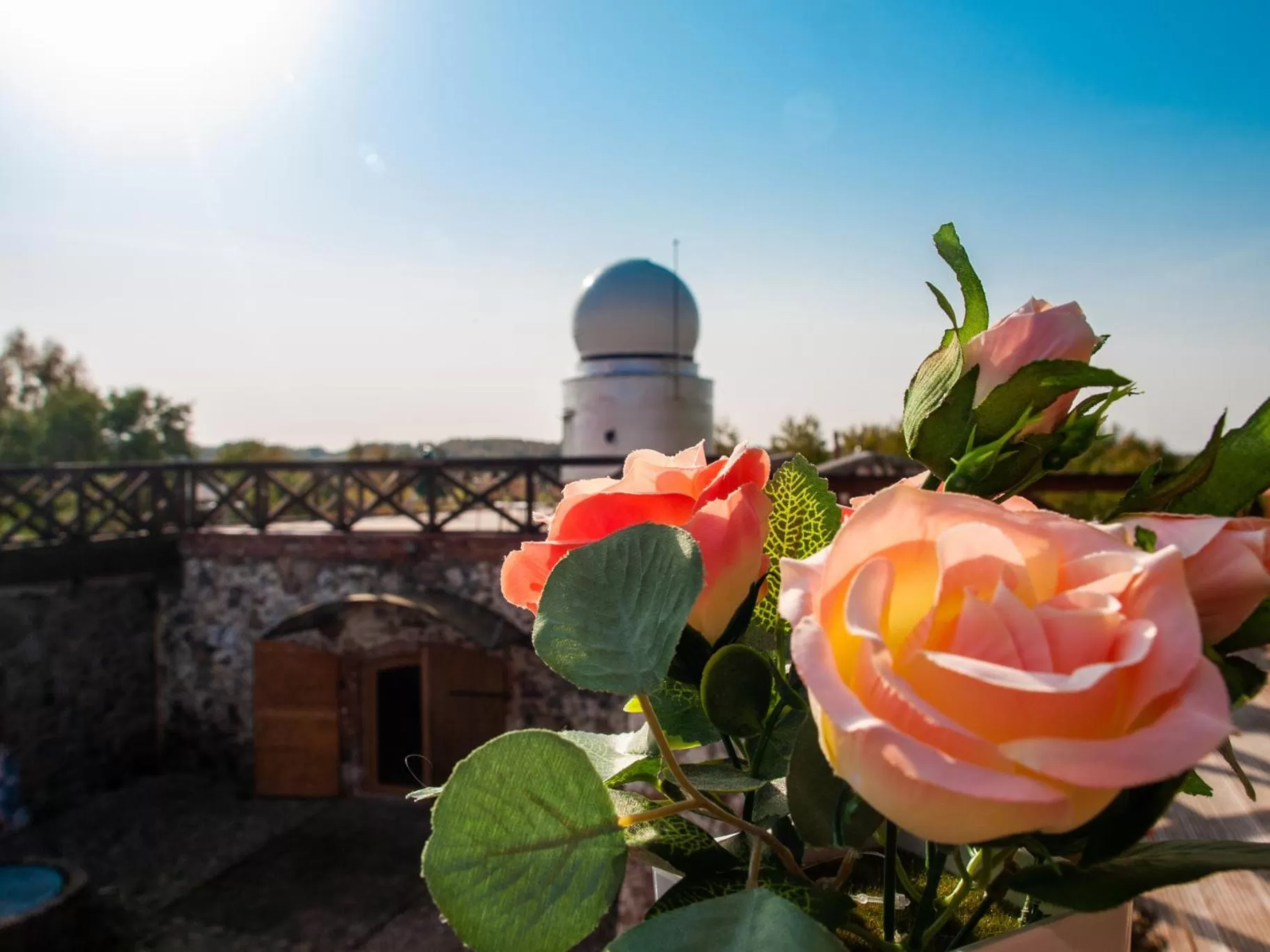 Property building in Albireo