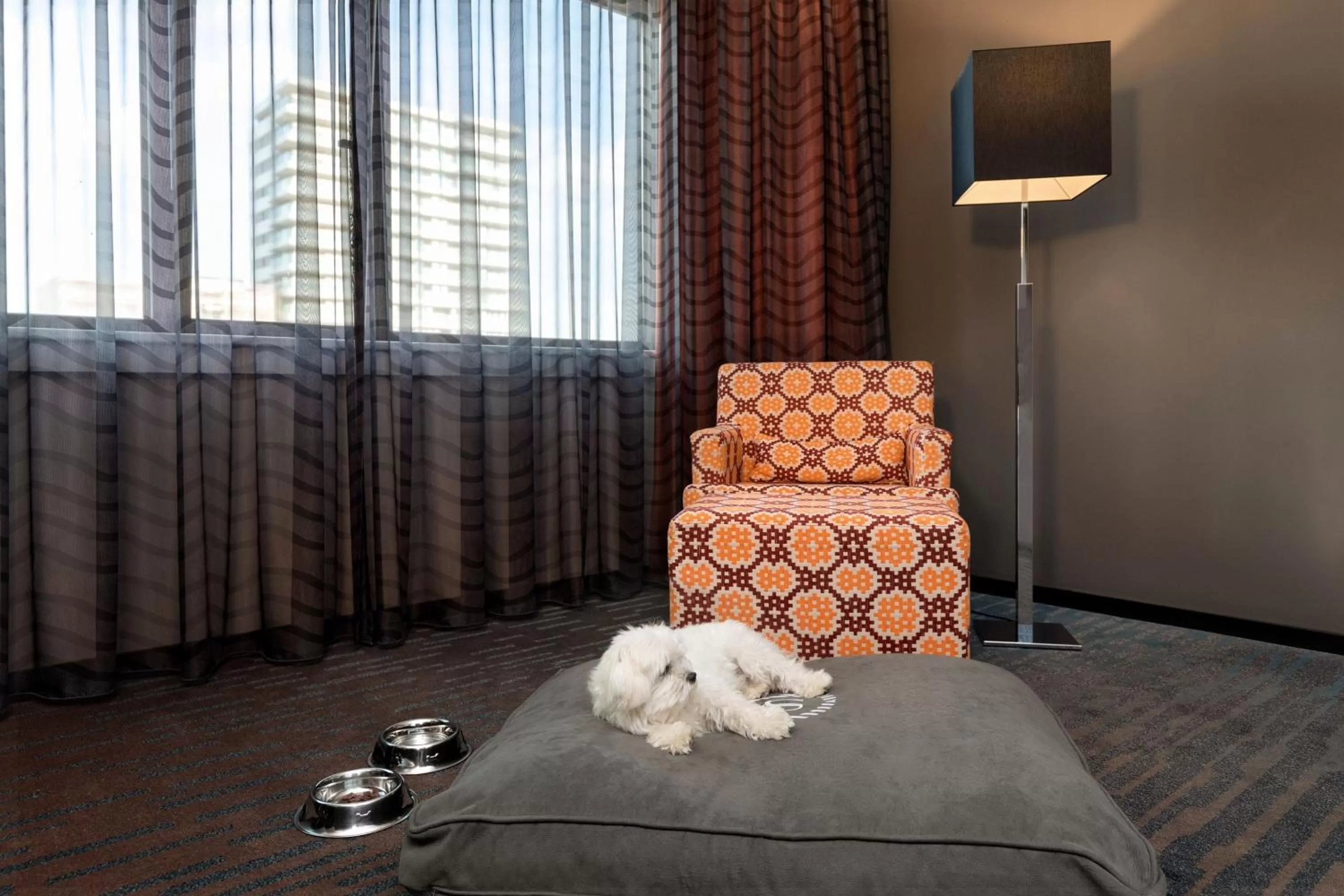 Executive Suite in Sheraton Essen Hotel