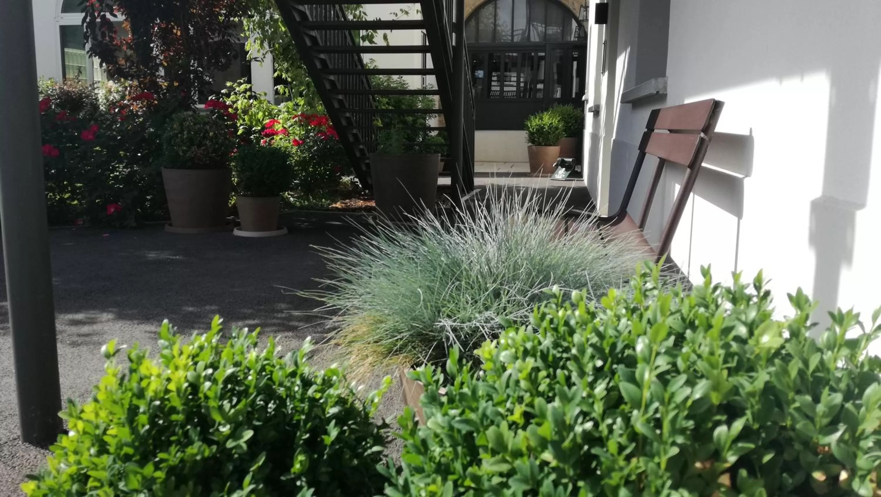Garden in Hôtel jardin Le Pasteur
