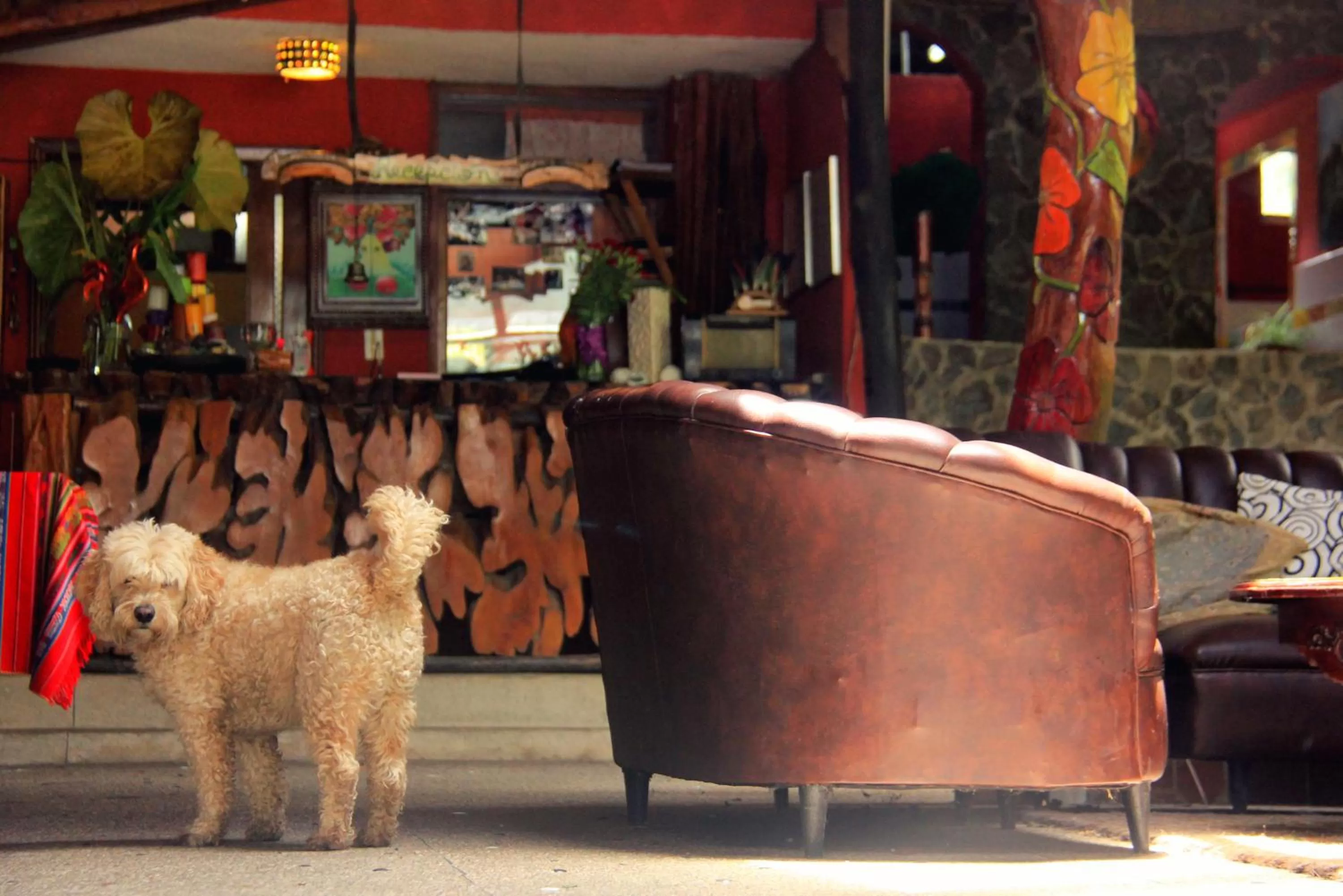 Pets in Spa Hosteria Miramelindo