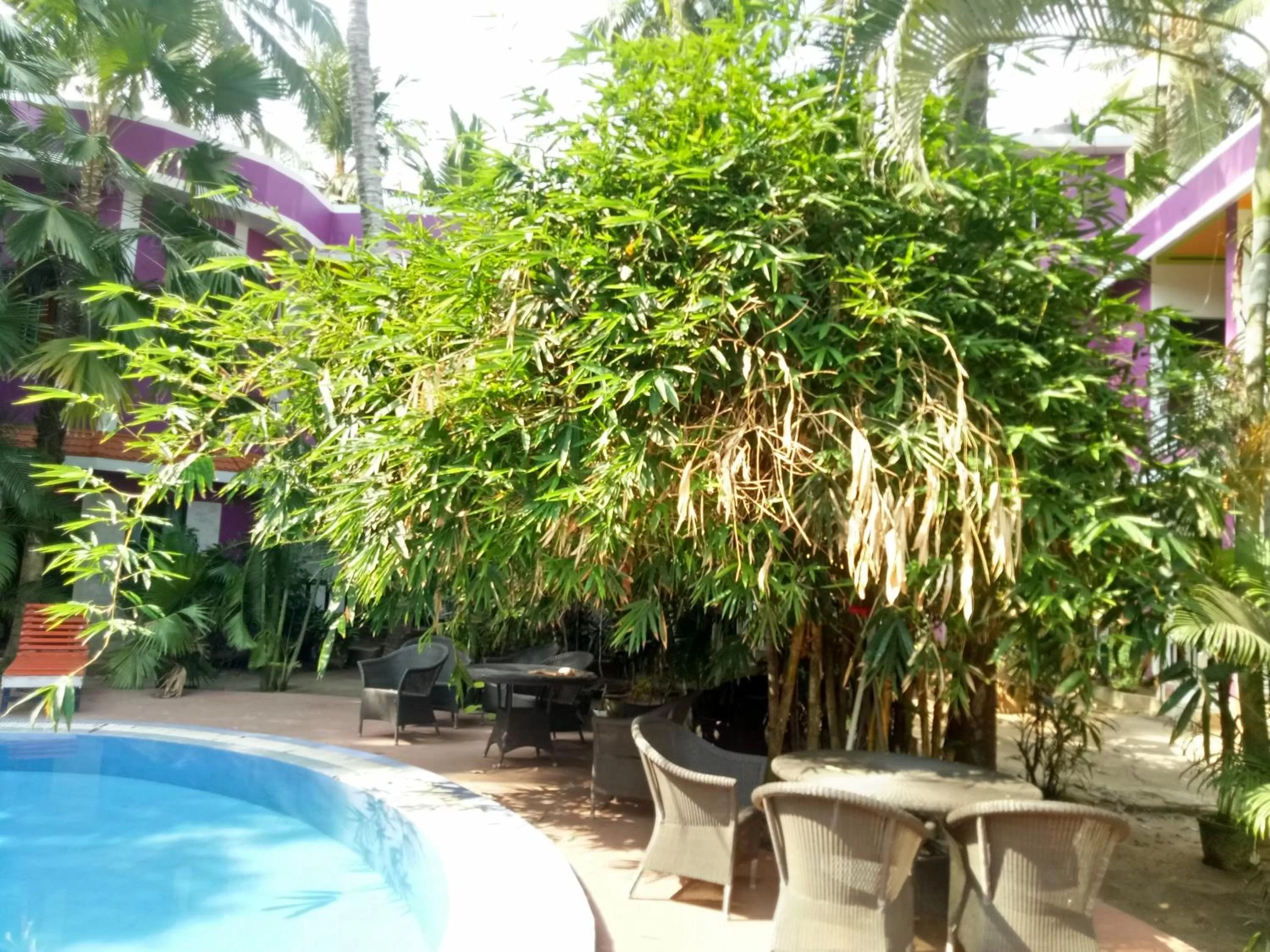 Pool view in Wilson Ayurvedic Beach Resorts