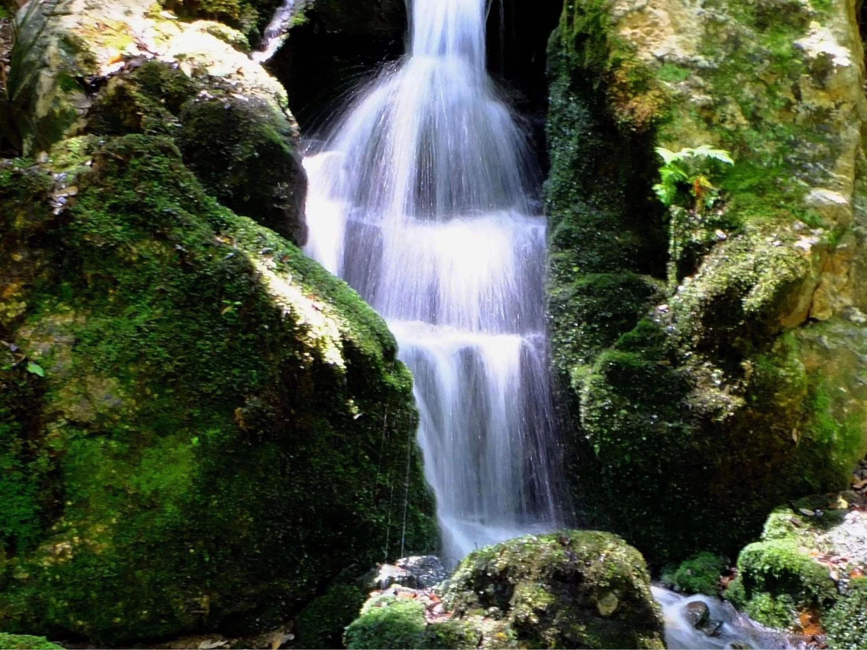 Nearby landmark, Natural Landscape in Hotel Wing International Kyoto - Shijo Karasuma