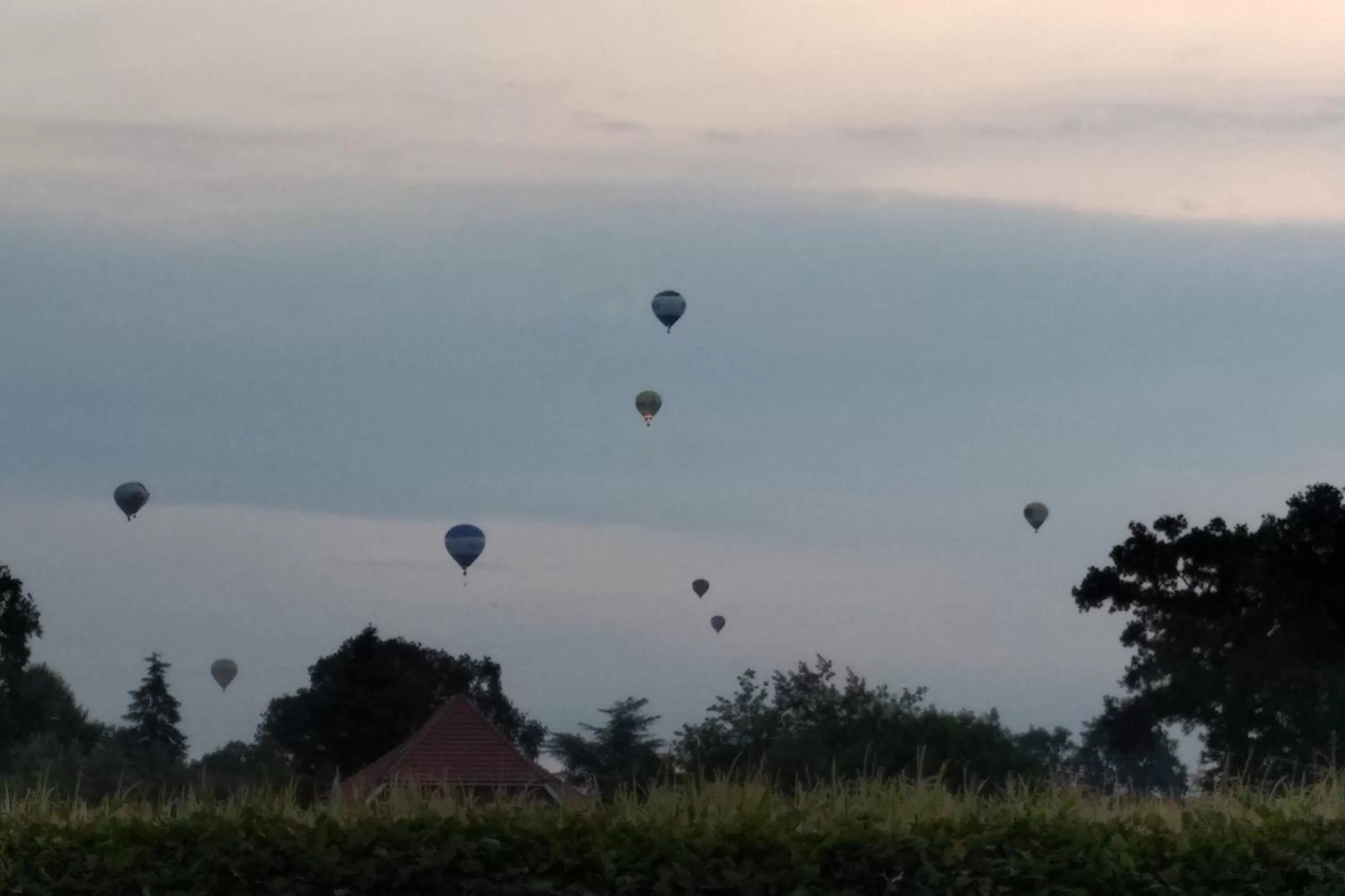 Activities, Other Activities in Landhaus Riedel