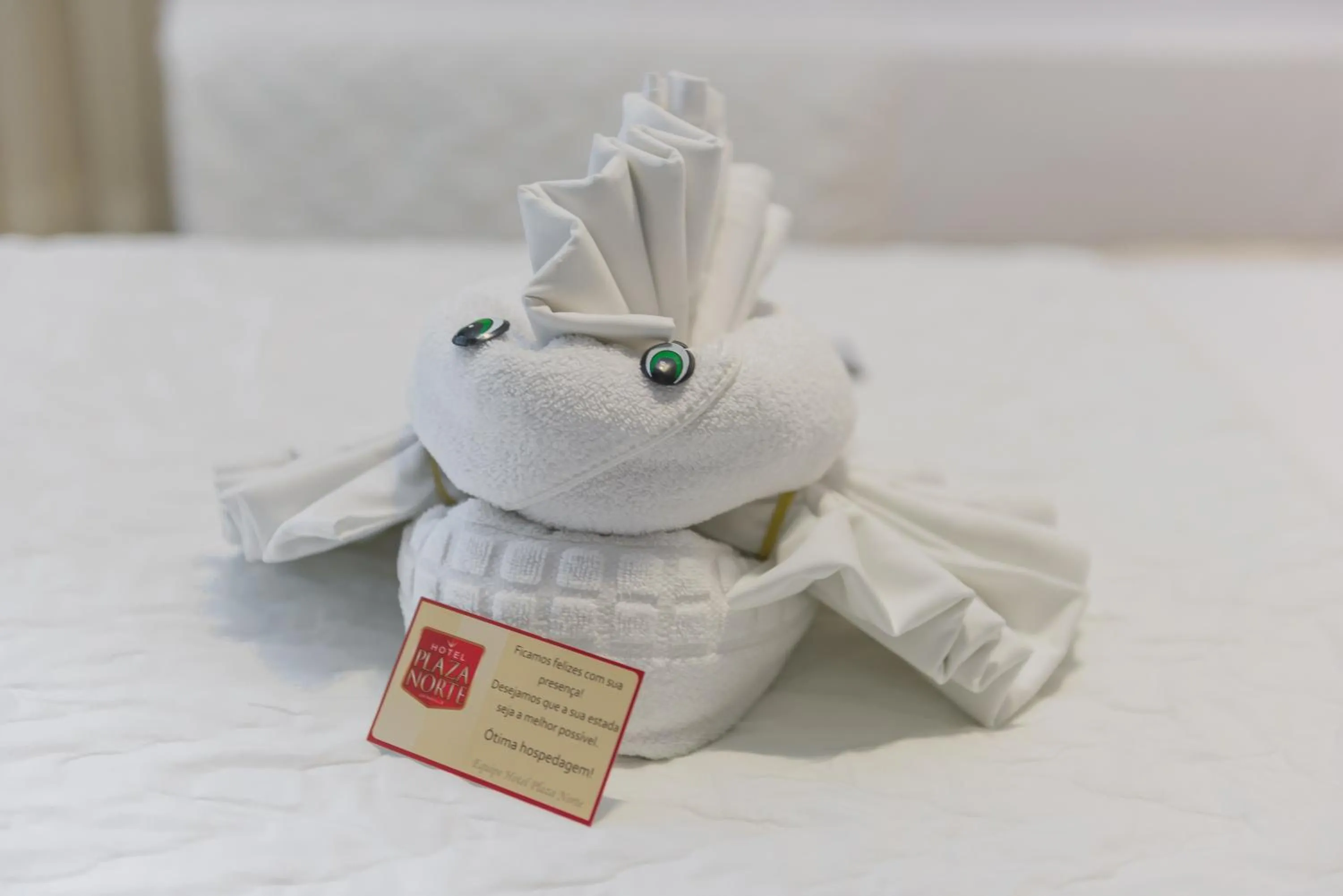 Bed in Hotel Plaza Norte