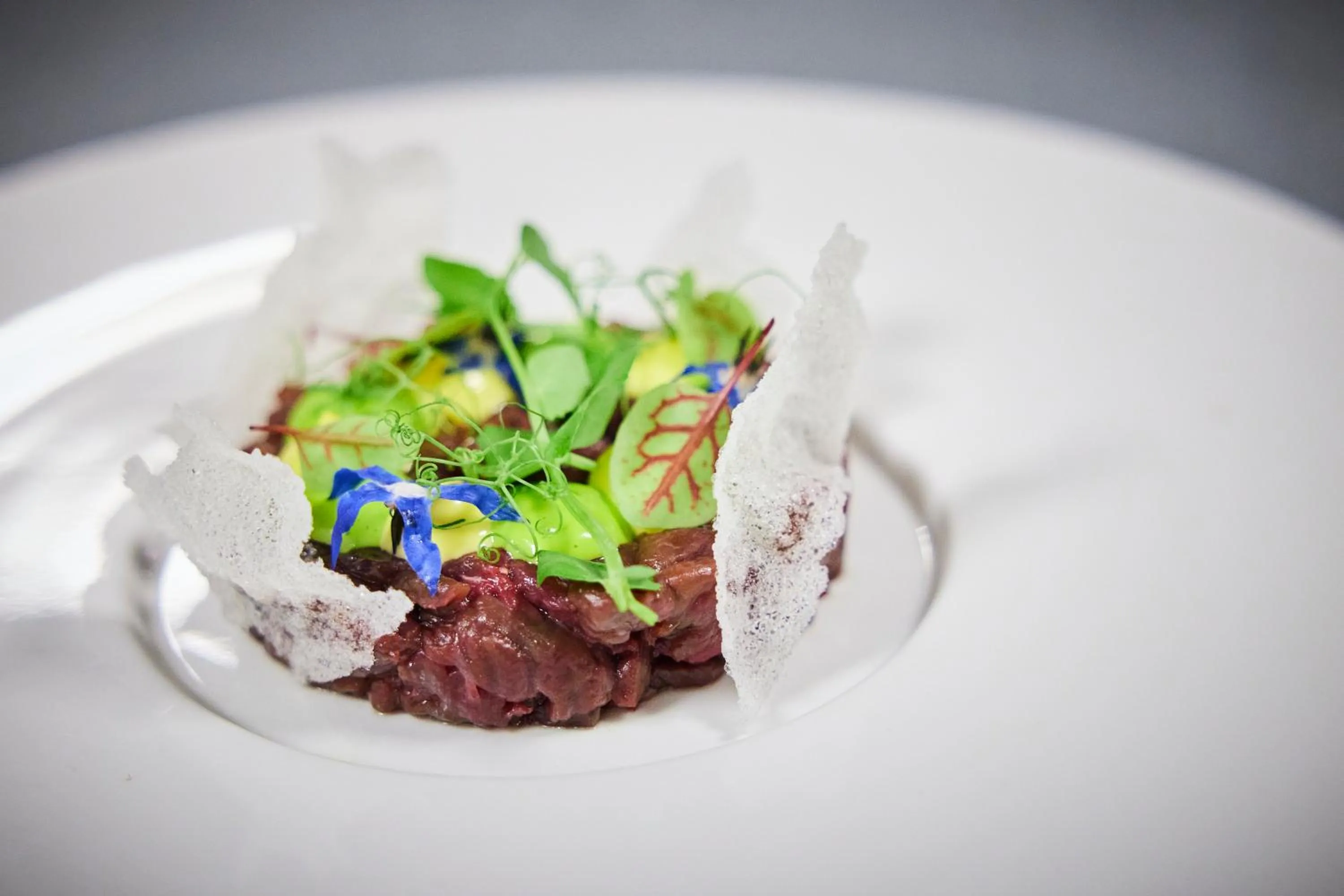 Restaurant/places to eat in Hotel Concordia