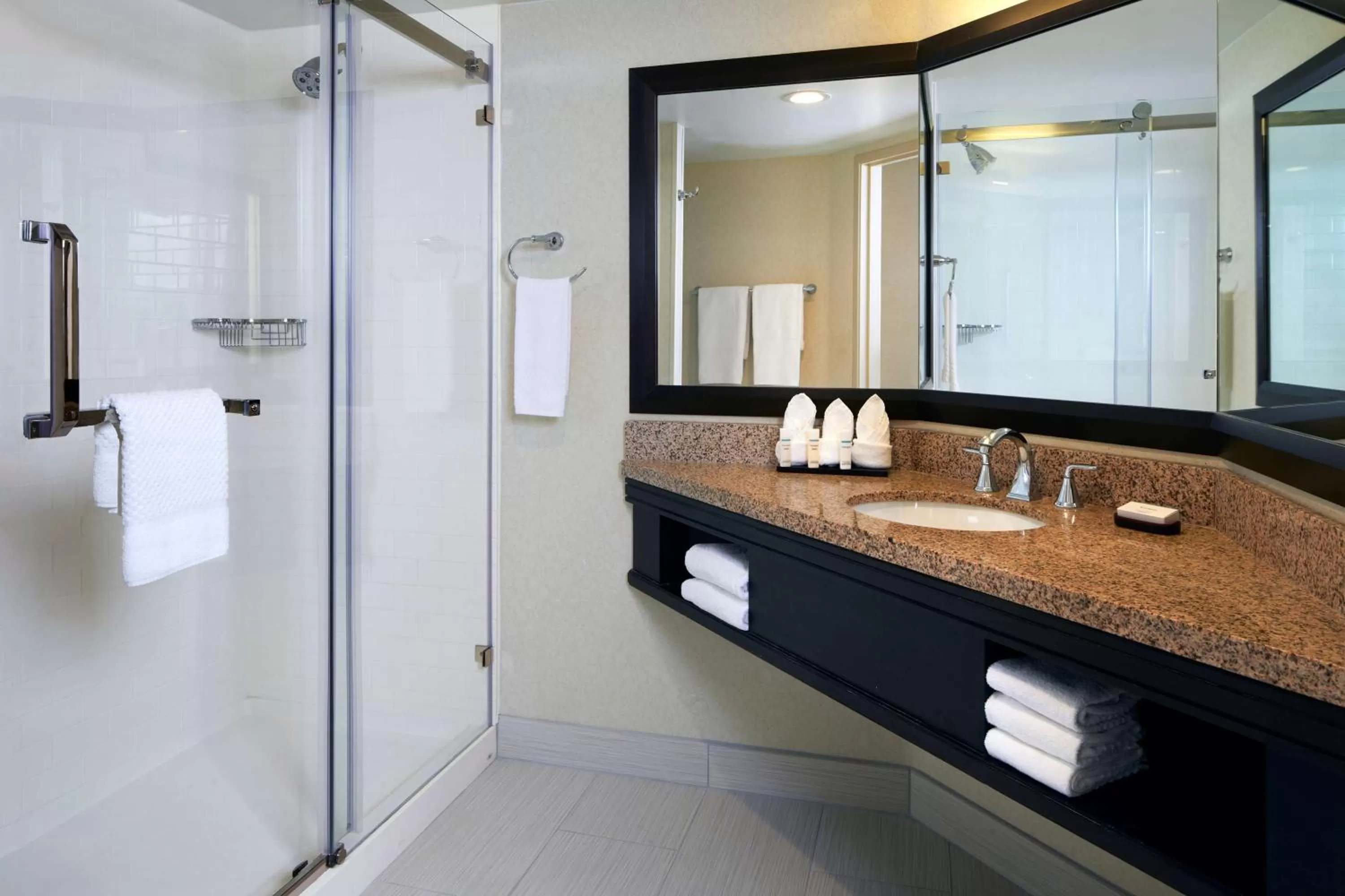 Bathroom in Embassy Suites Los Angeles - International Airport/North