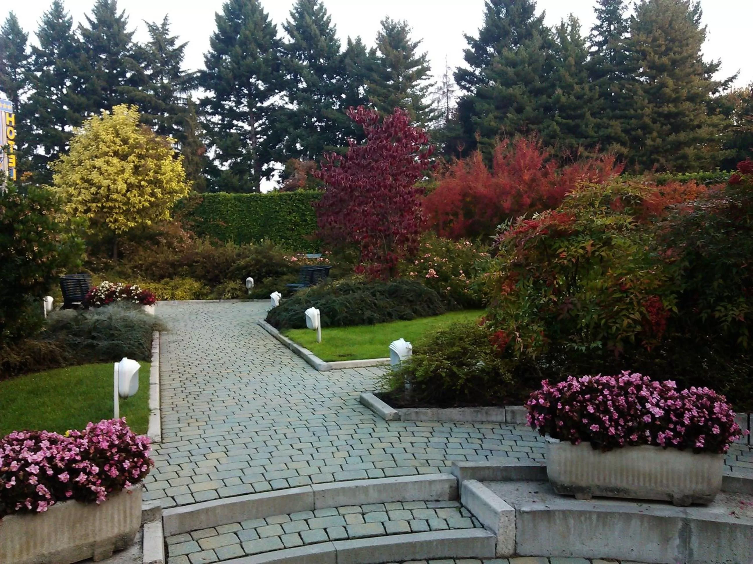 Other in Cardano Hotel Malpensa