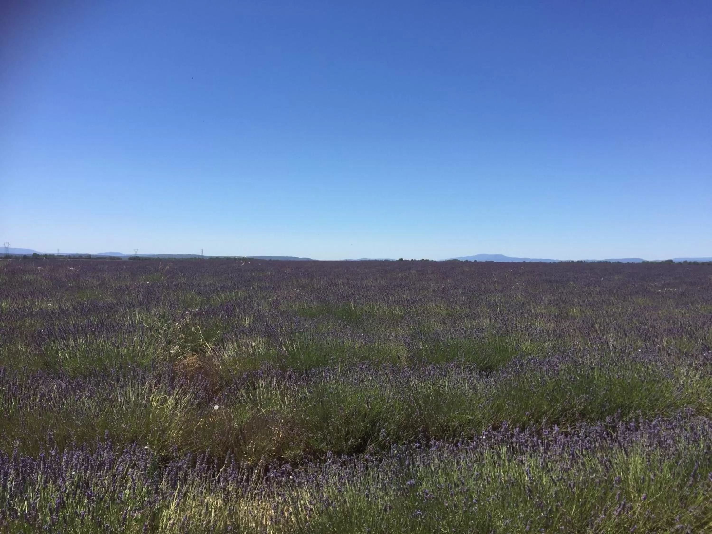La maison du bonheur