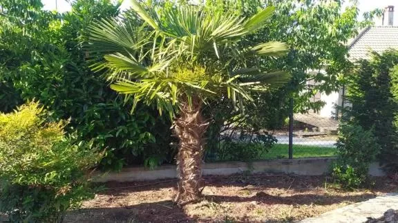 Garden in L'Escale du Monde