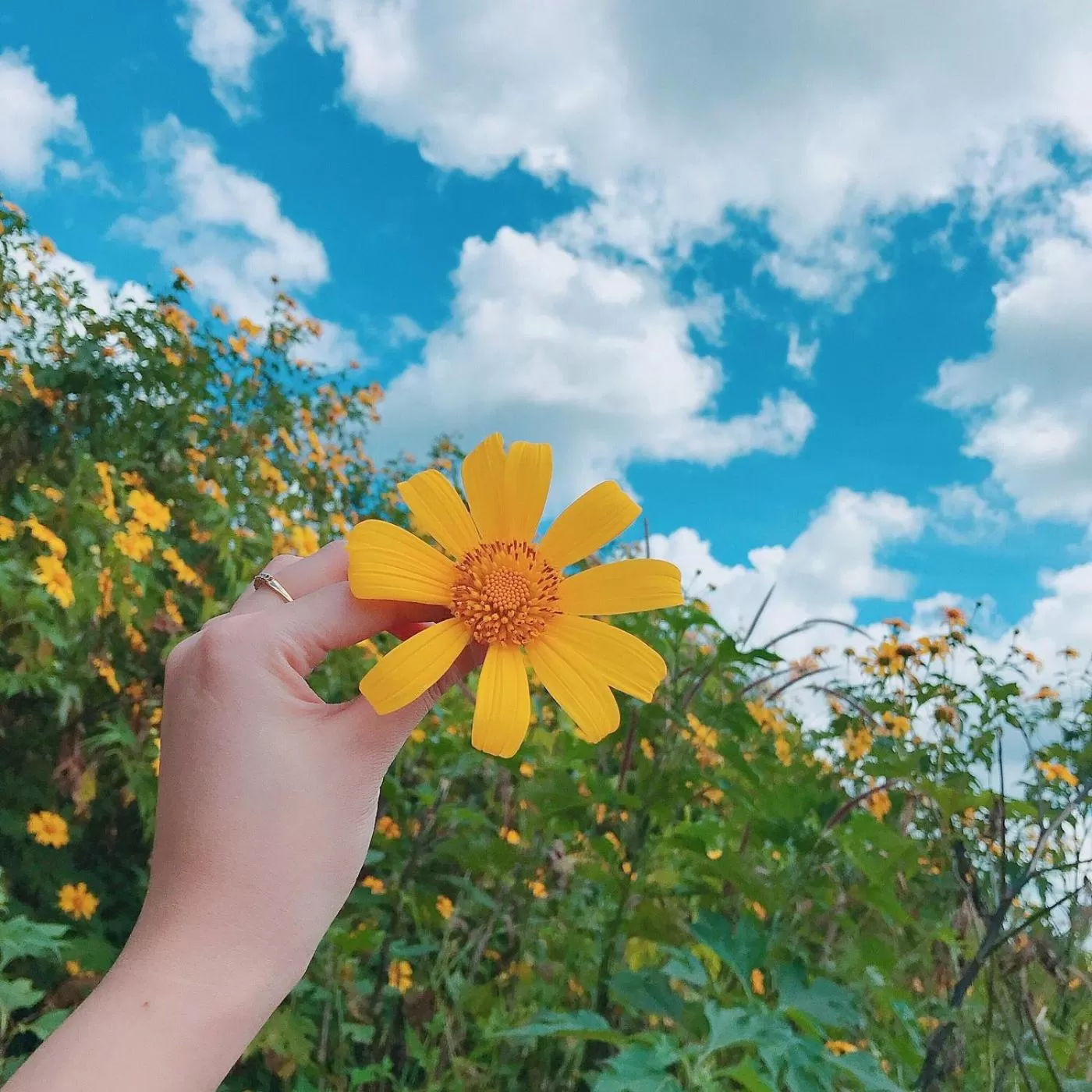 Natural landscape in Pleiku & Em Hotel by Gia Lai Tourist