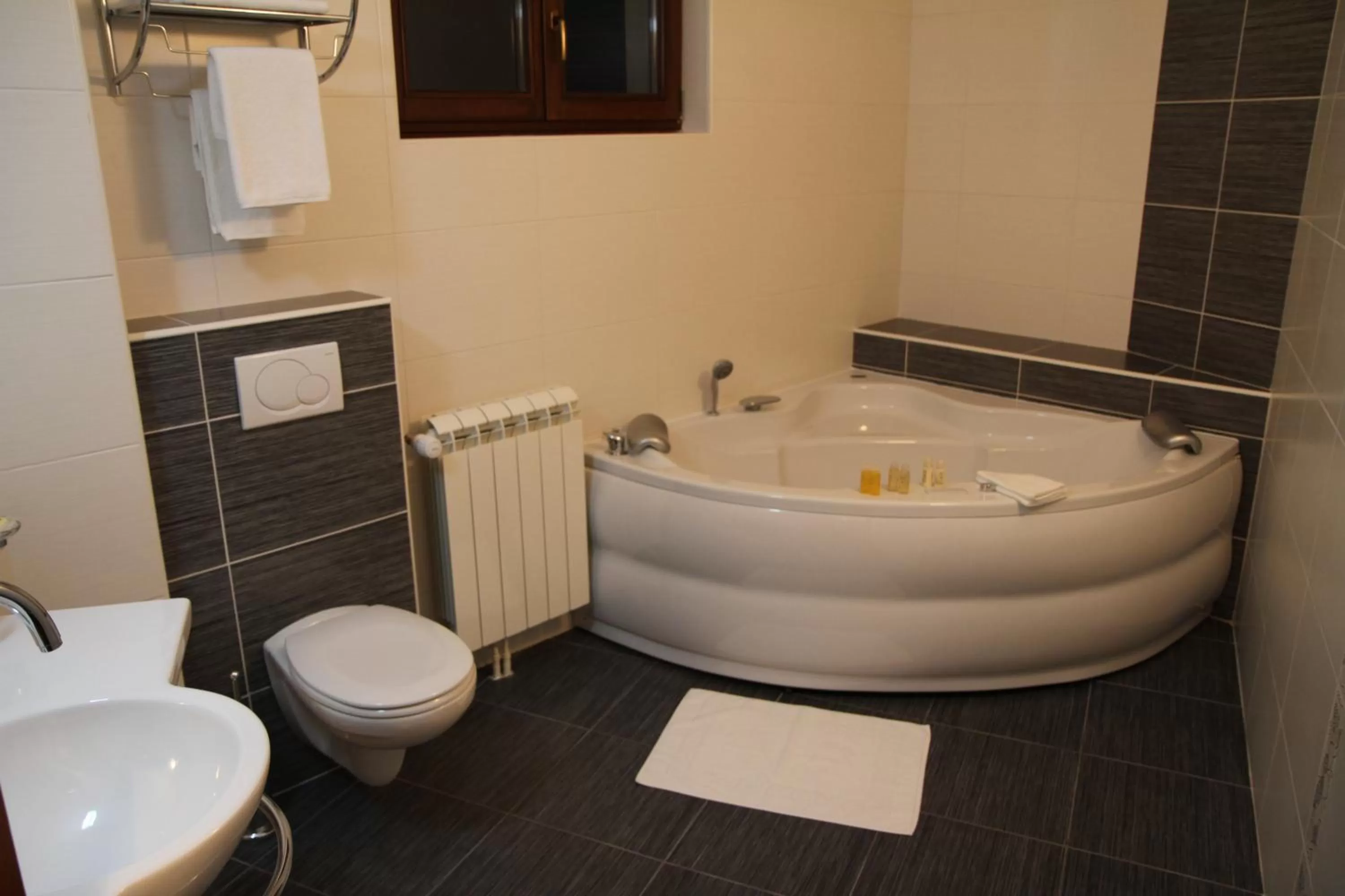 Bathroom in Hotel Trebjesa