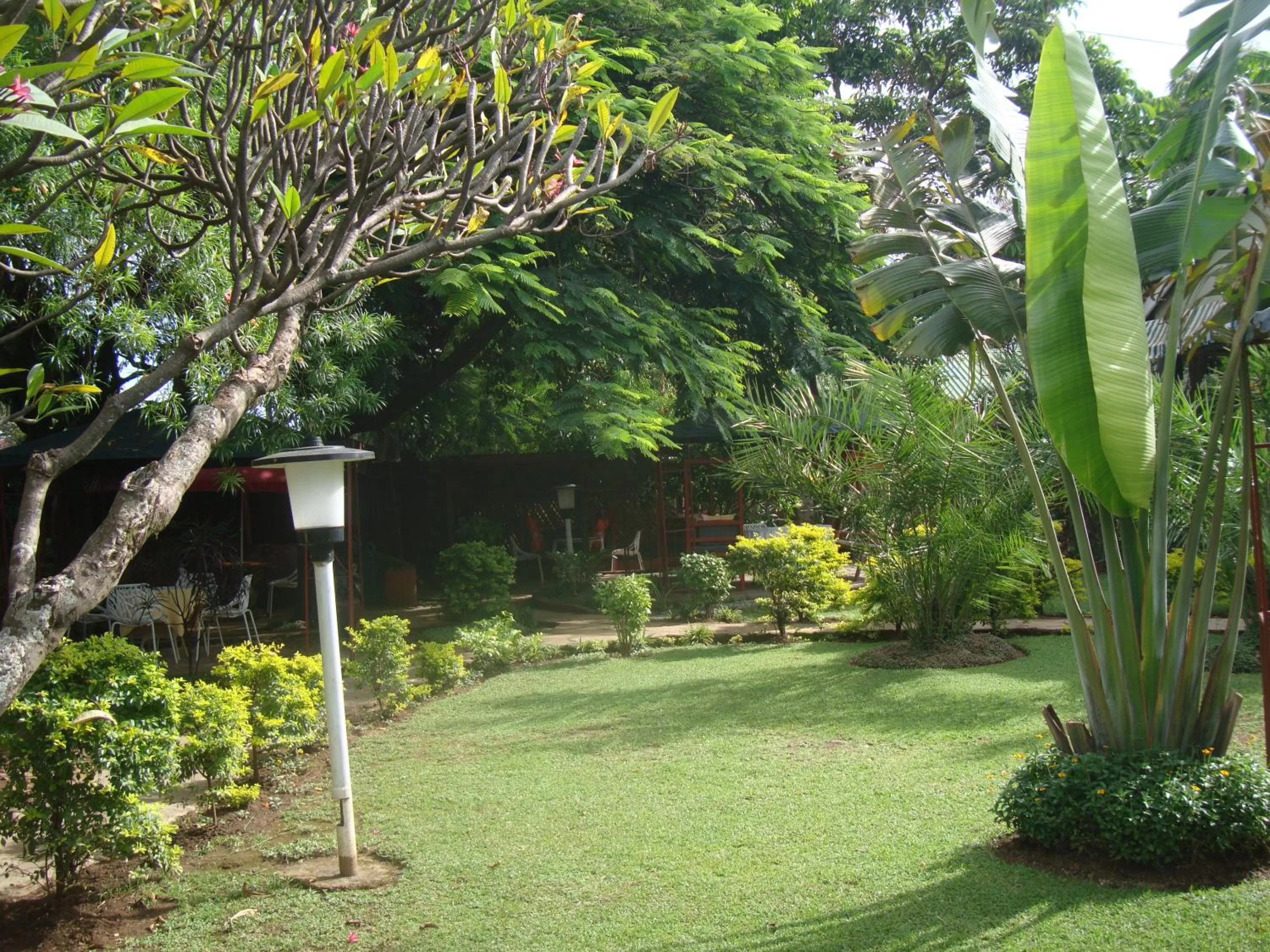 Garden in The Clarice House