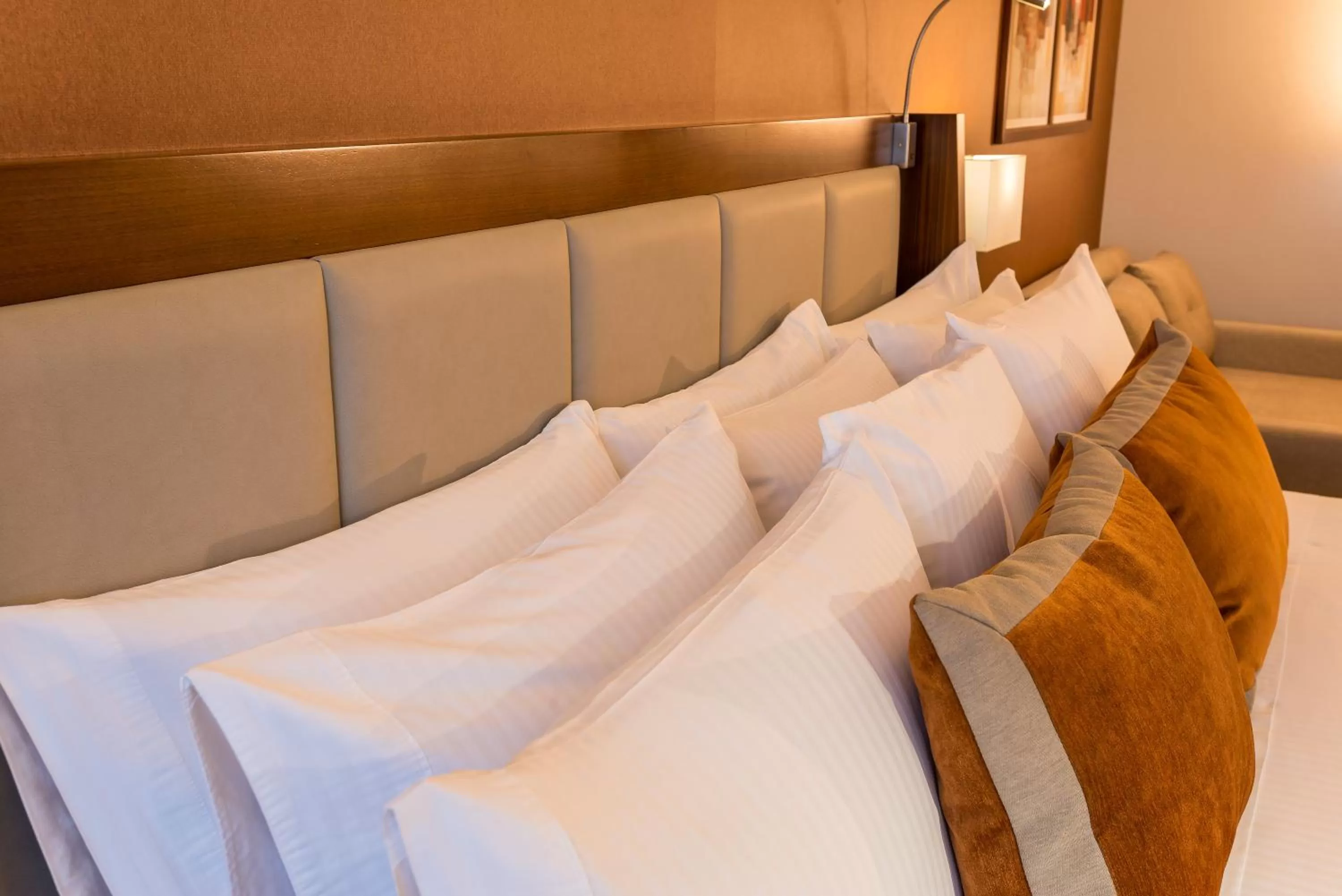 Decorative detail, Bed in Hotel Dann Carlton Bogota