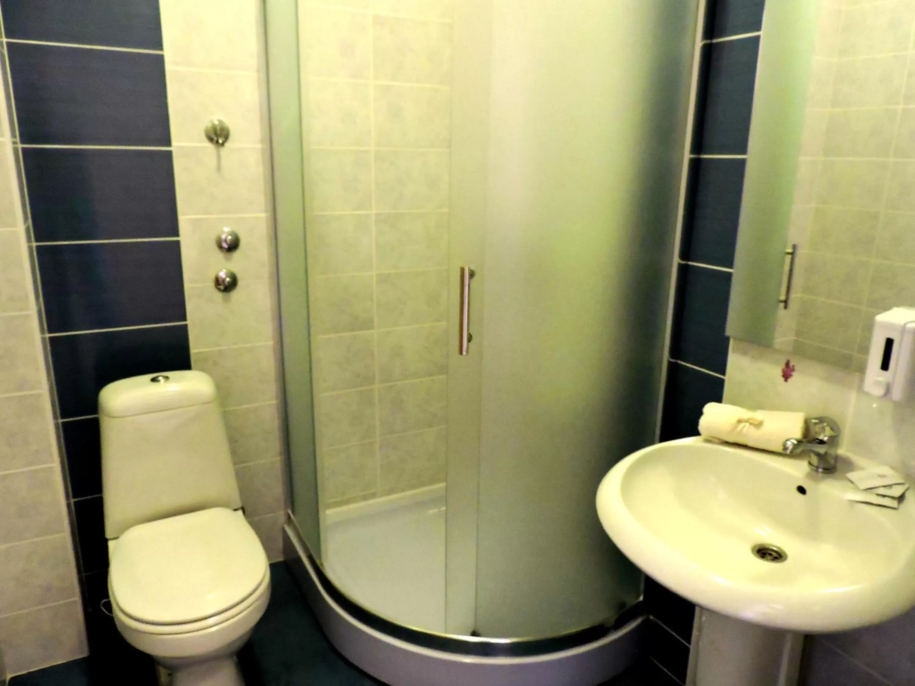 Shower, Bathroom in B&B Zmajevo Gnezdo 021