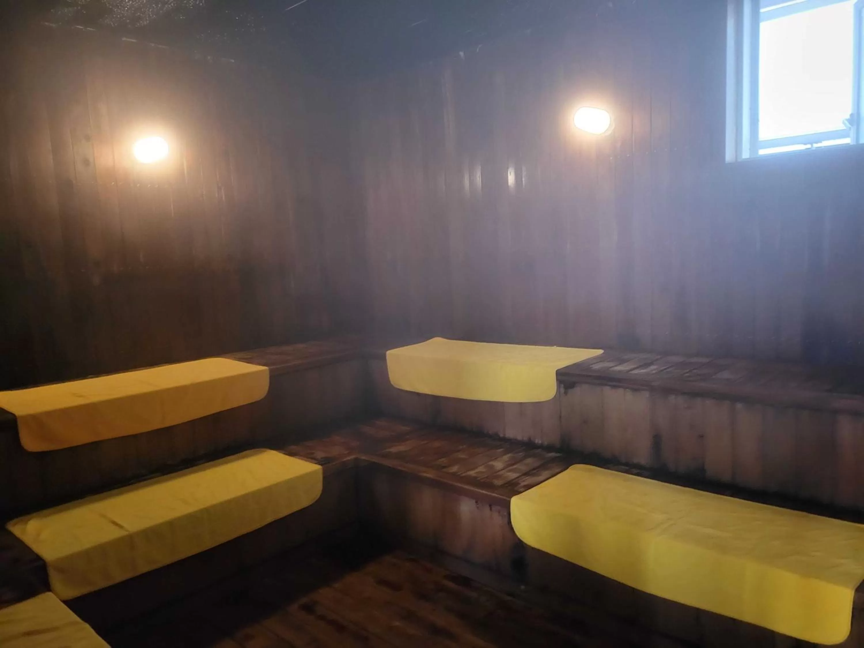Sauna in Saga City Hotel