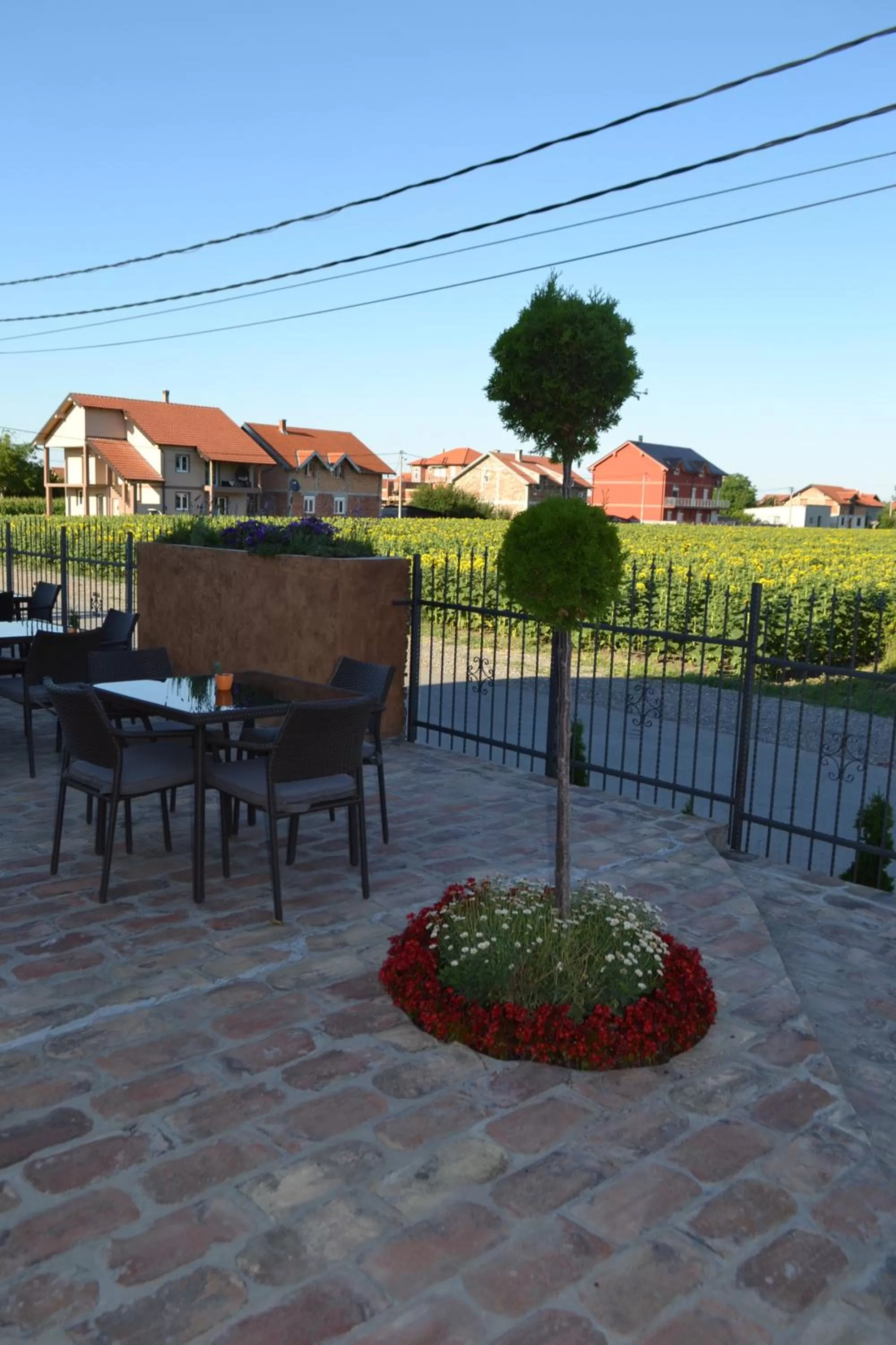 Restaurant/places to eat in Garni Hotel Chicha - Winery ŠKRBIĆ