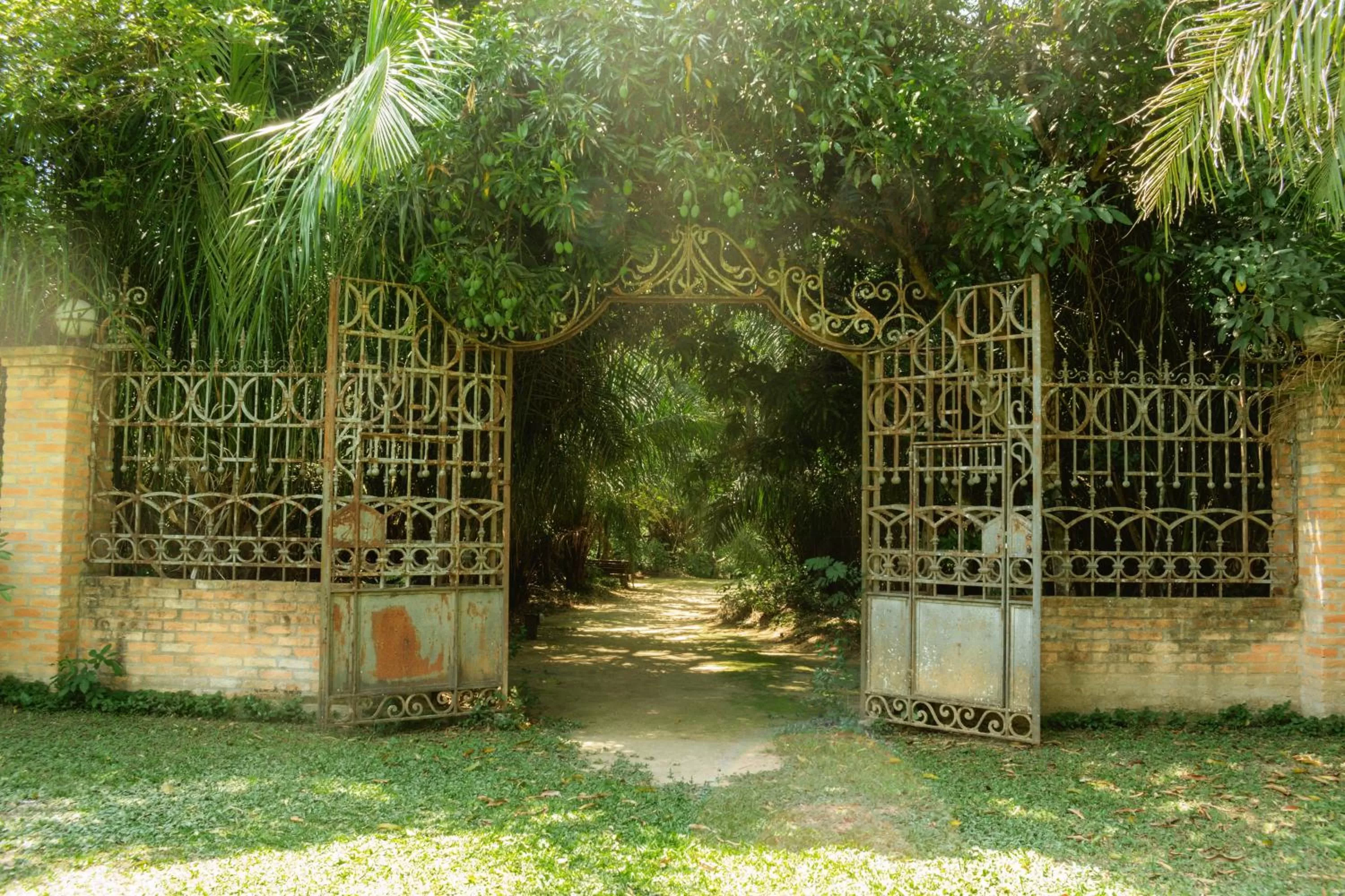 Garden in Hotel Santa Esmeralda