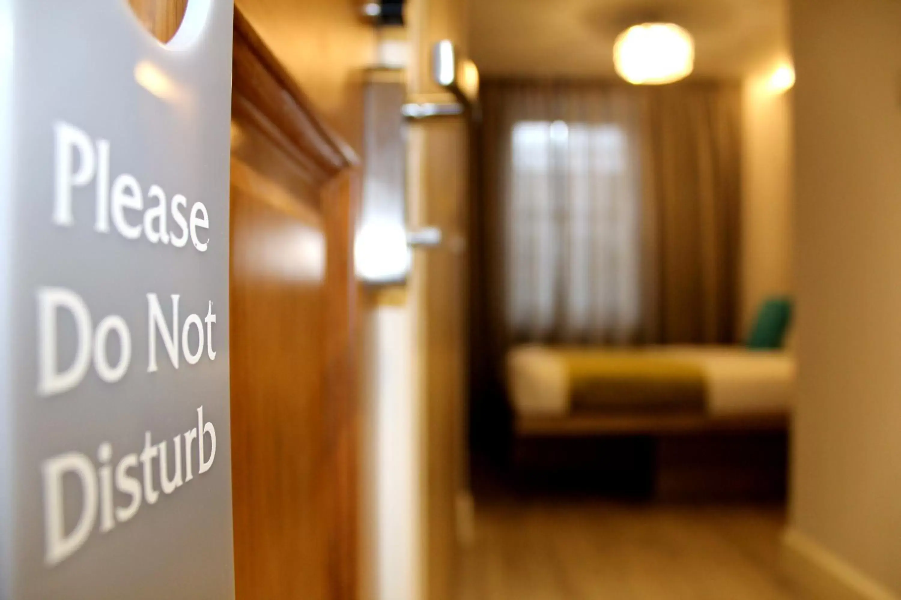 Double Studio (Lower Ground Floor) in 1 Craven Hill Gardens Double Studio (Lower Ground Floor) in 1 Craven Hill Gardens