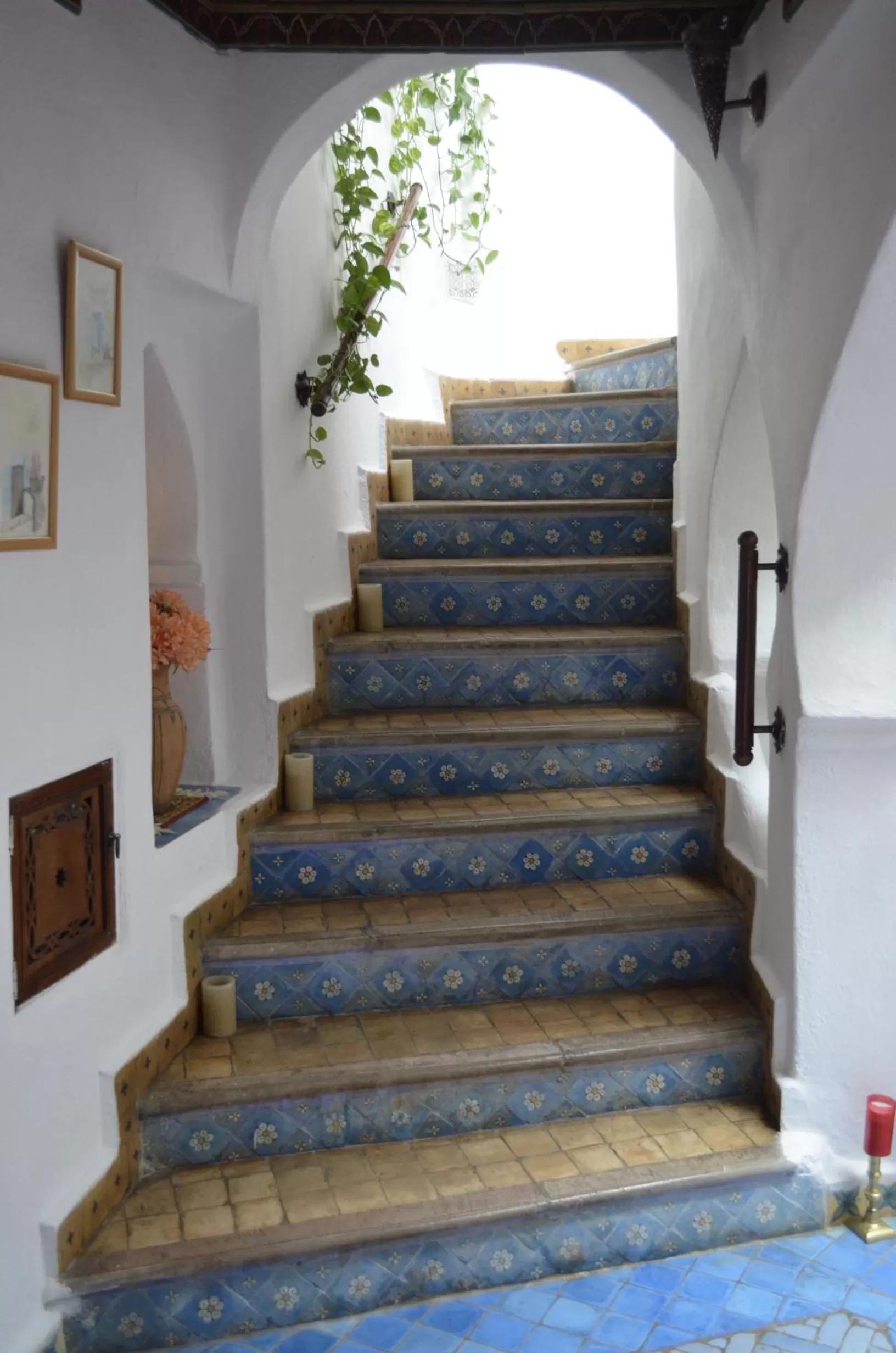 Area and facilities in Dar Meziana