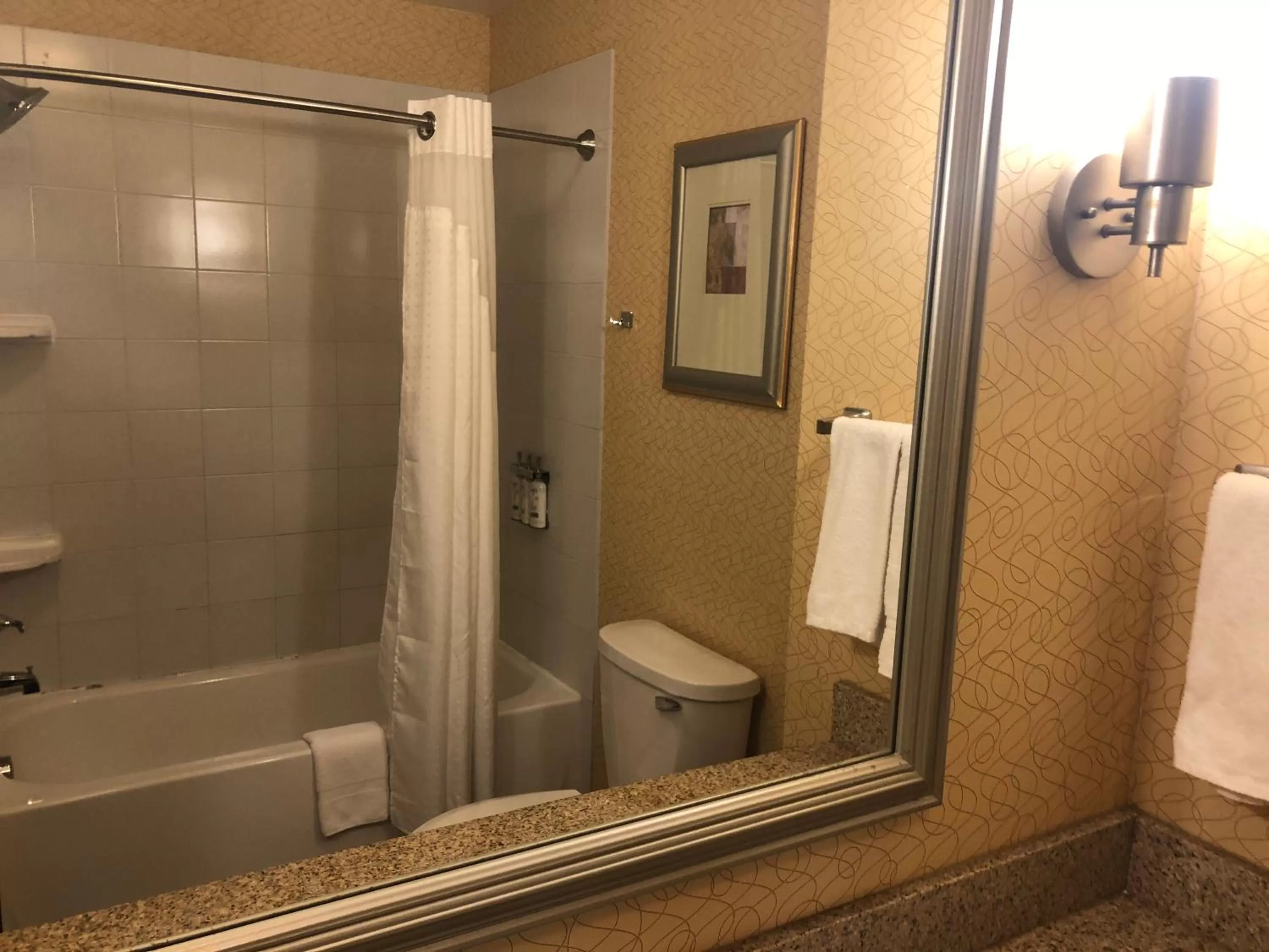 Shower in Holiday Inn Express Hotel & Suites Lansing-Dimondale by IHG