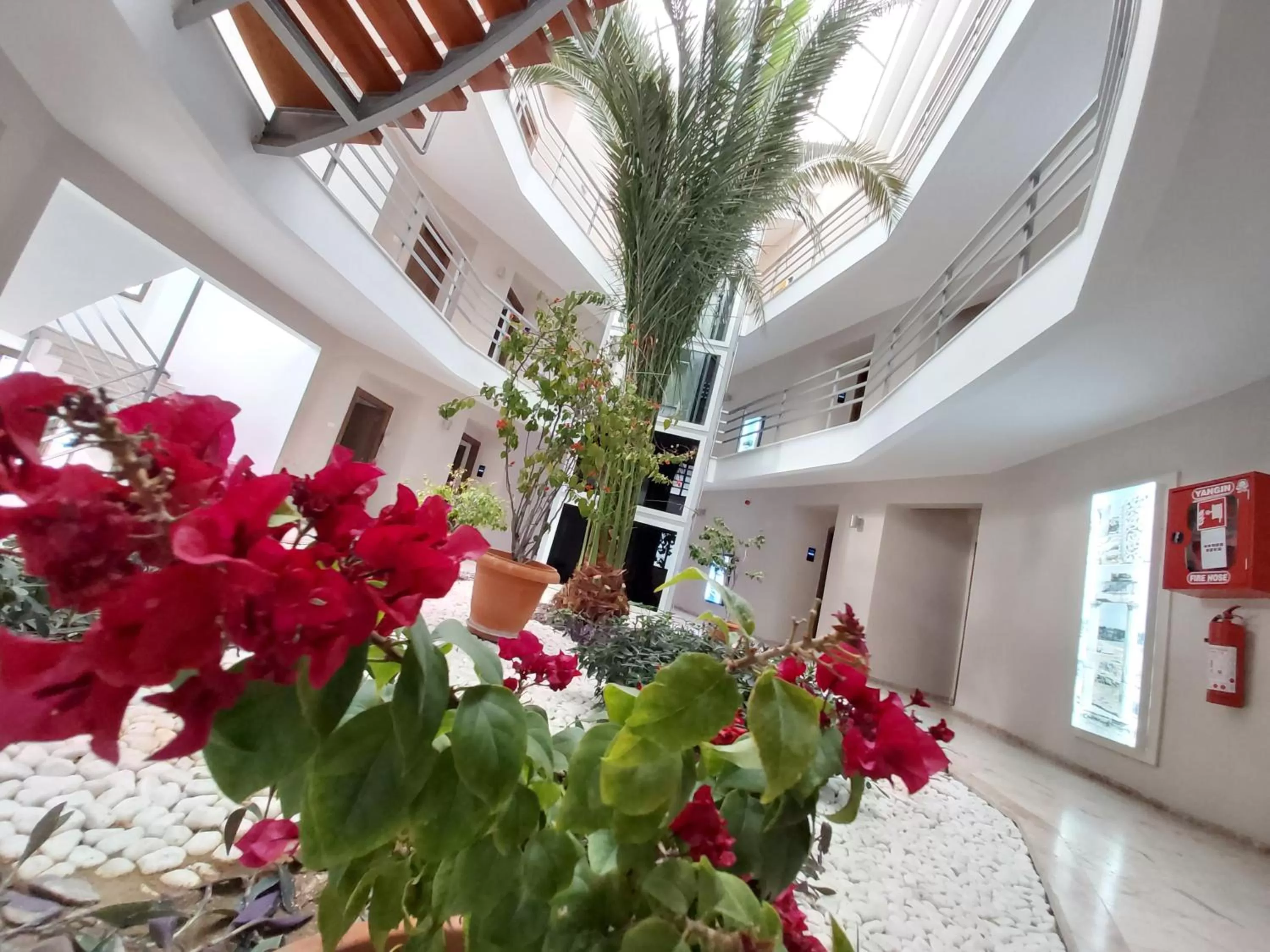 Property building in Pam Thermal Hotel Clinic & Spa