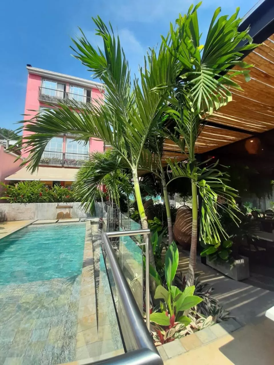 Swimming pool in Rossa Palma