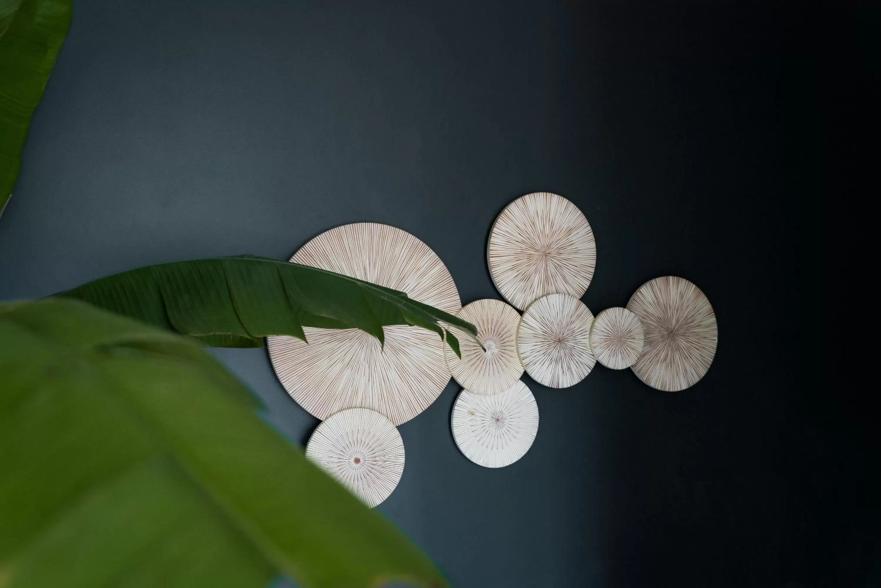 Lobby or reception in White Boutique Hotel and Residences