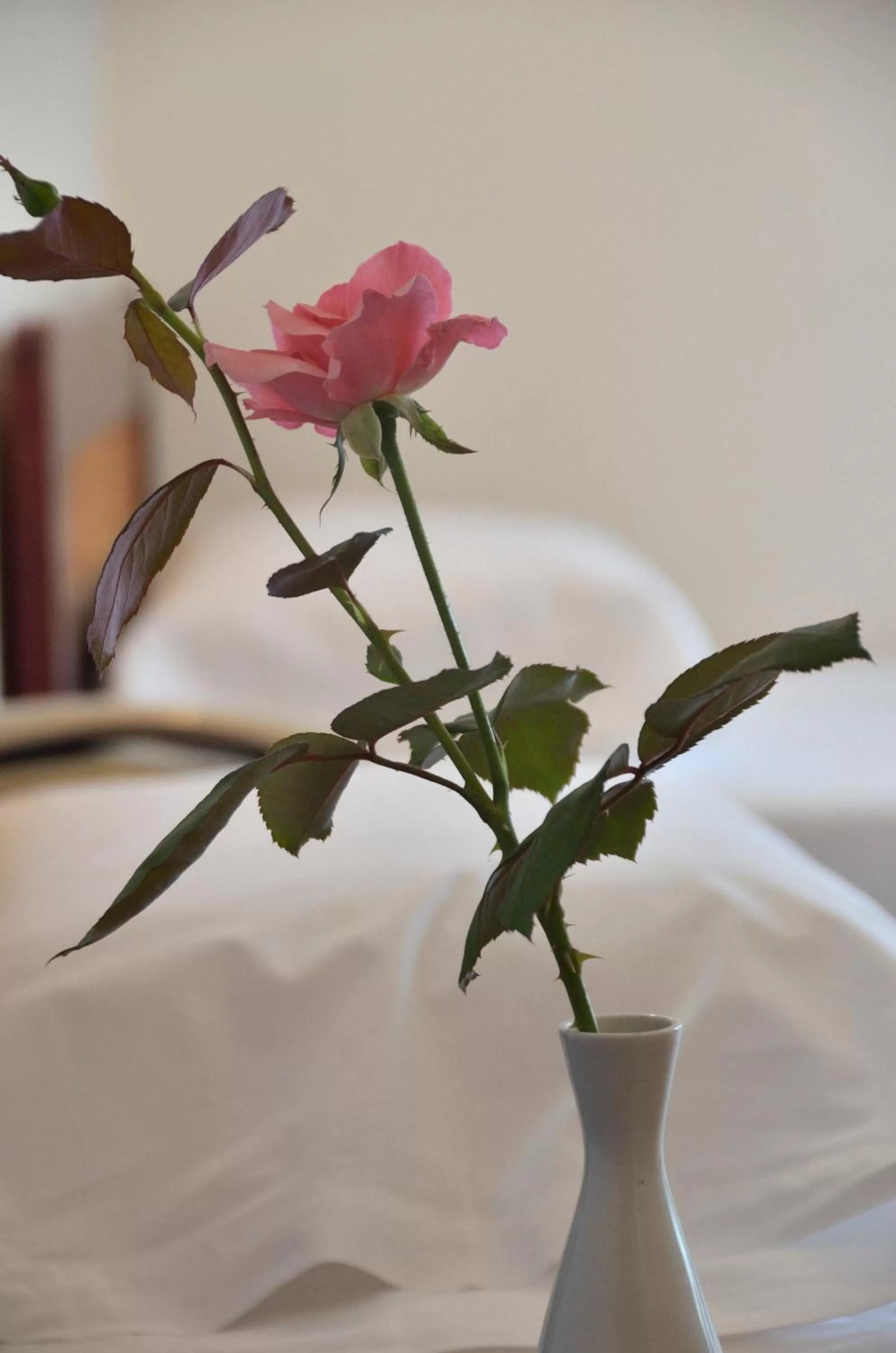 Other in Messini Hotel