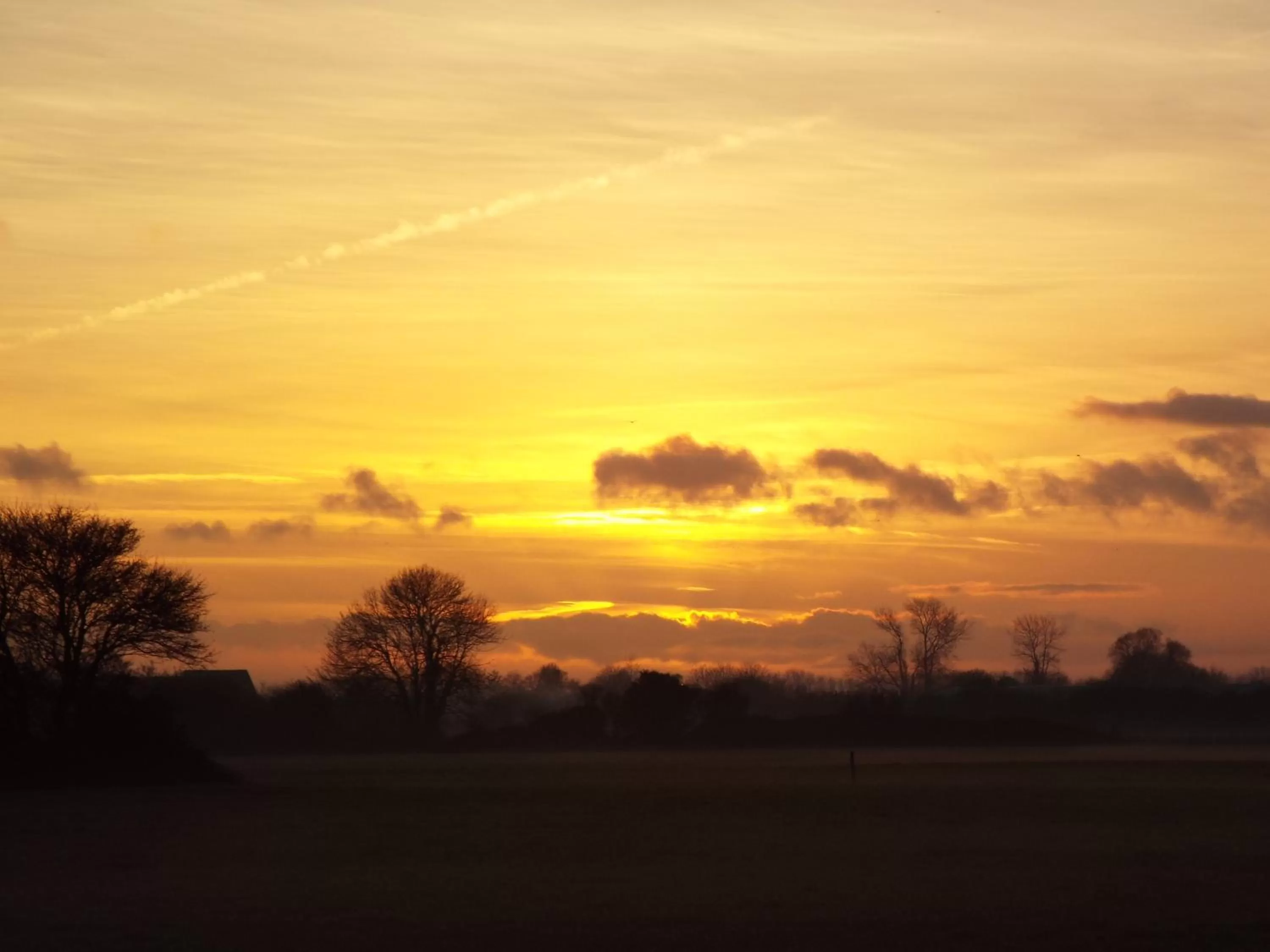 Garden view in Old Chapel Forge