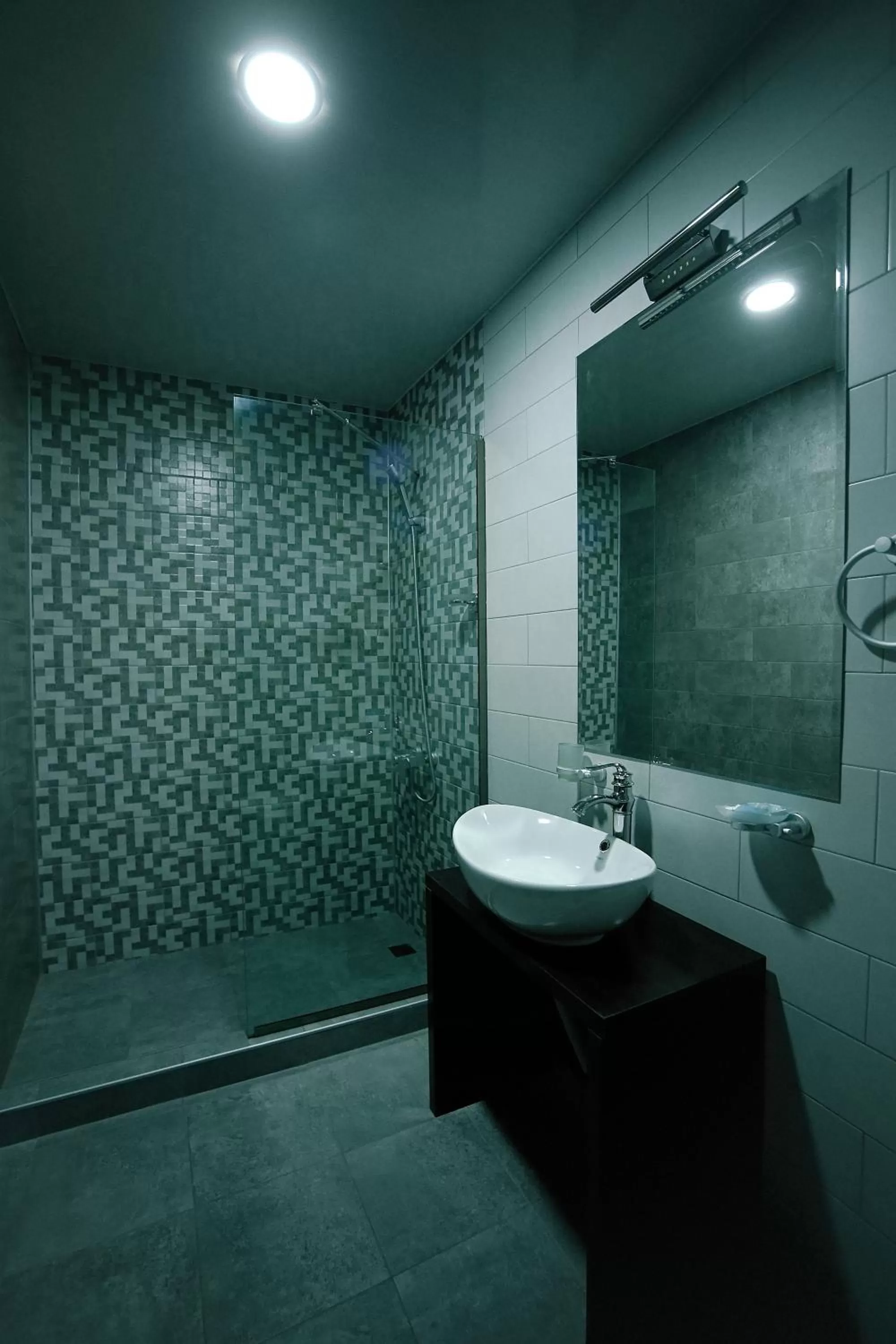 Shower, Bathroom in Hotel Rero