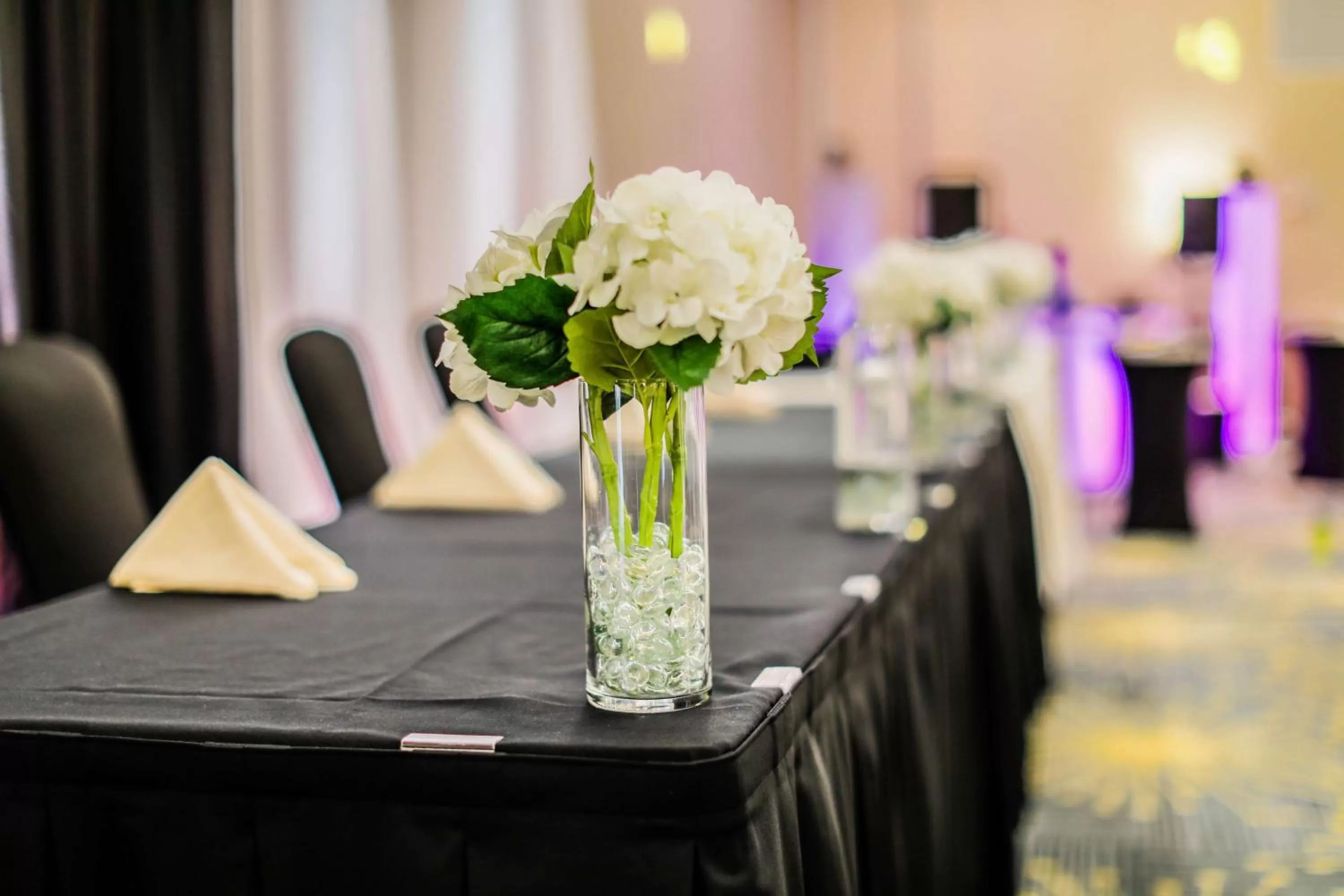 Meeting/conference room in Hilton Garden Inn Fargo
