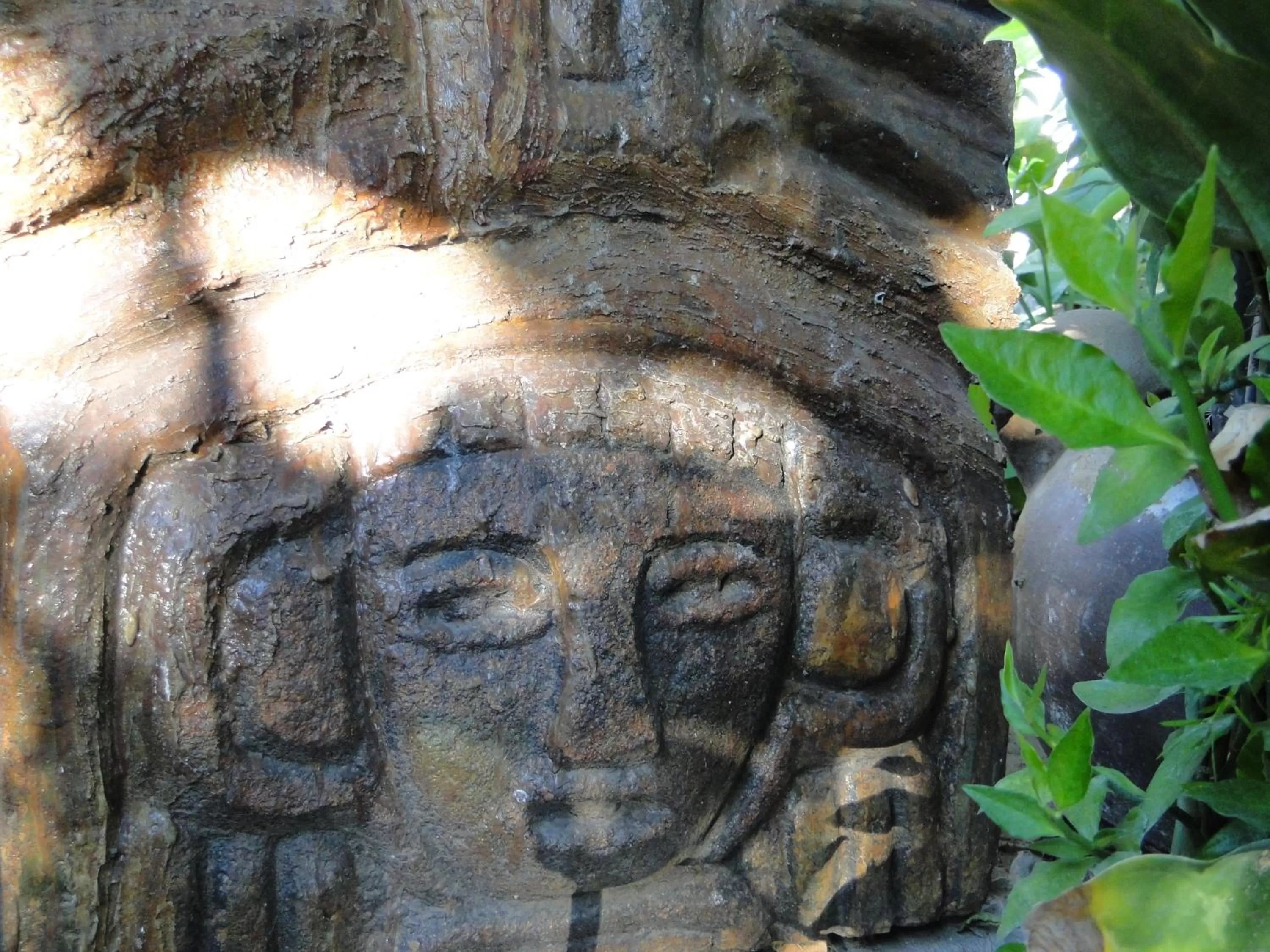 Decorative detail, Other Animals in Hotel Caleta