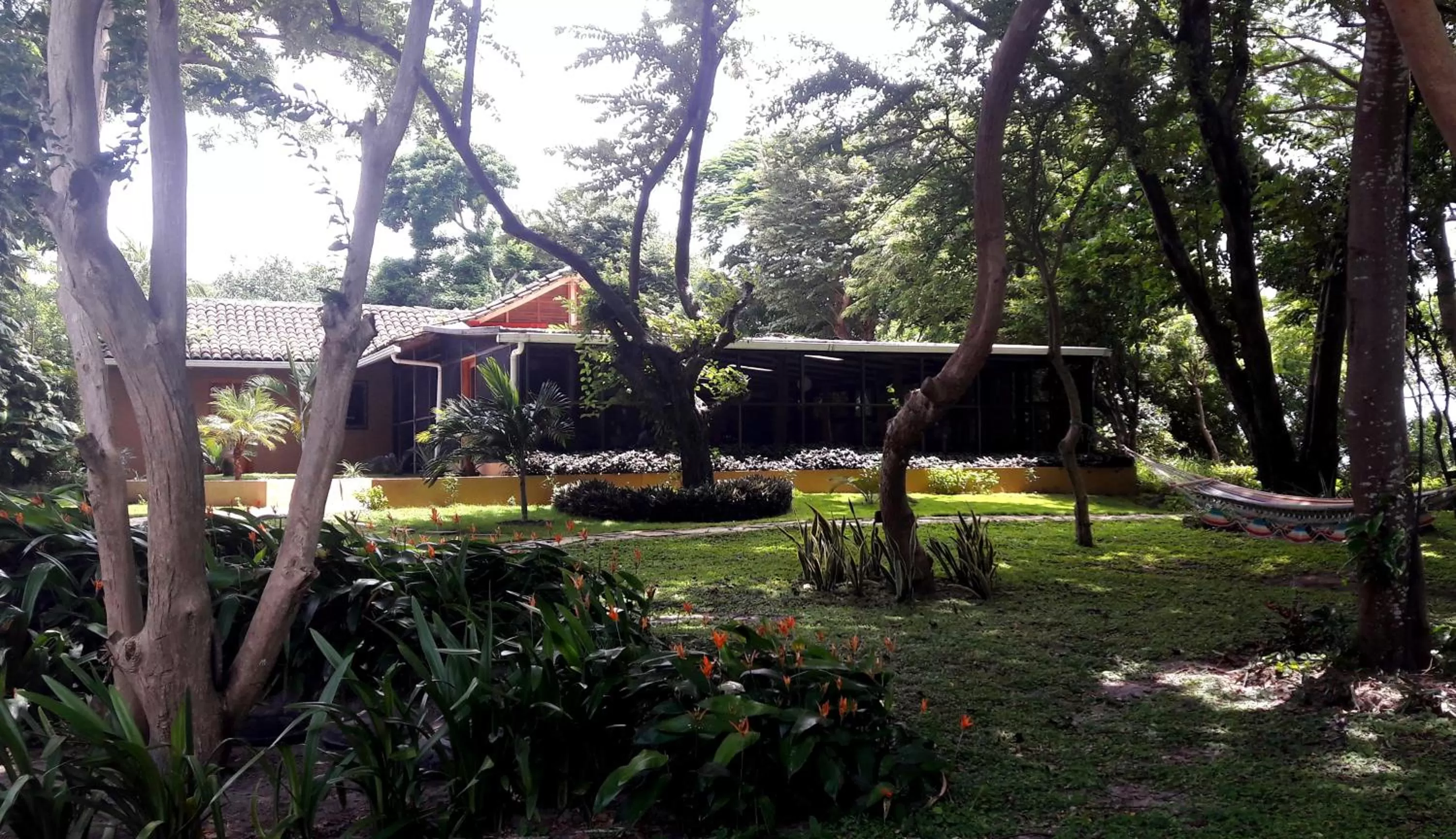Property building, Garden in Xalli Beach Hotel