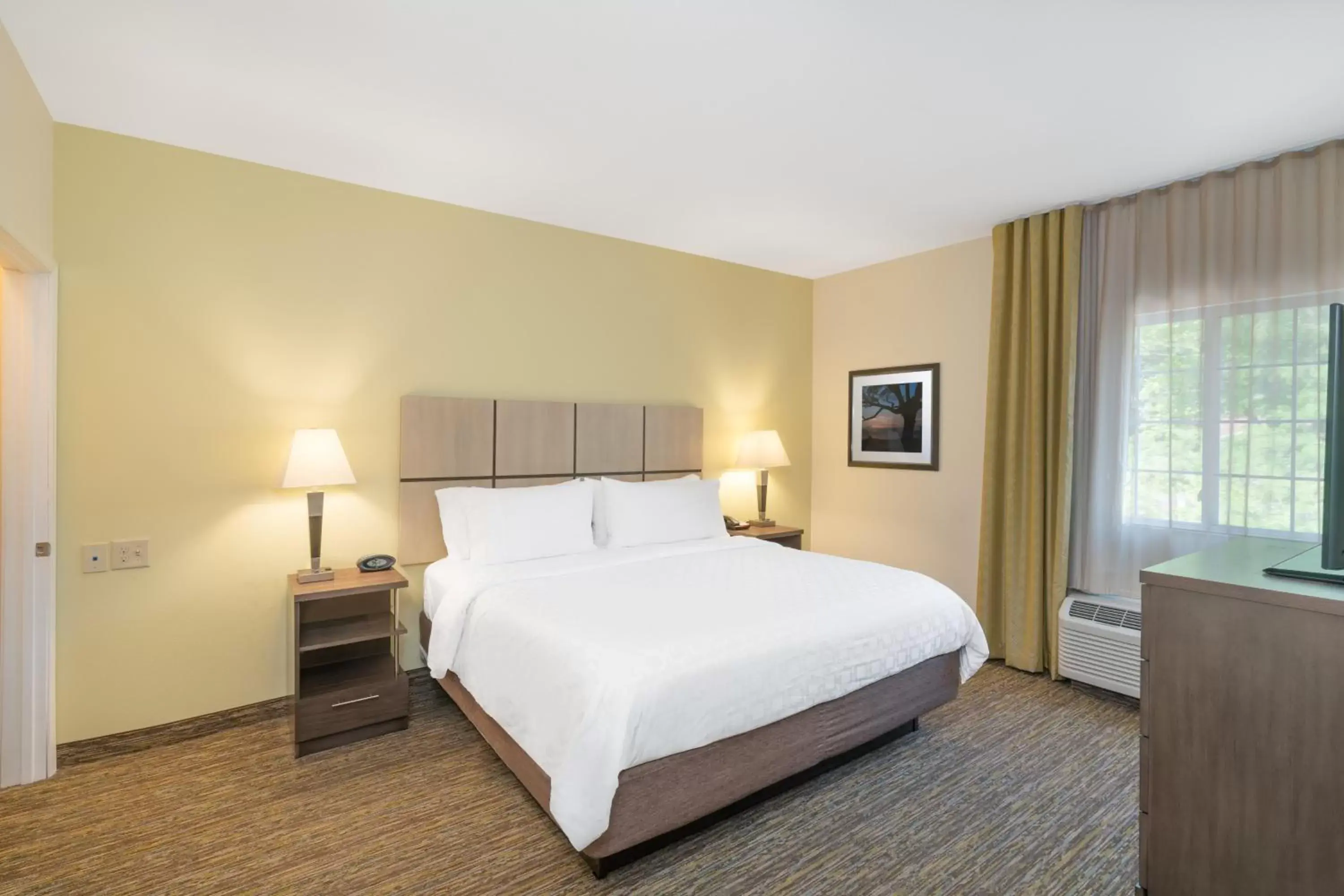 Queen Studio - Disability Access in Candlewood Suites Auburn by IHG Queen Studio - Disability Access in Candlewood Suites Auburn by IHG