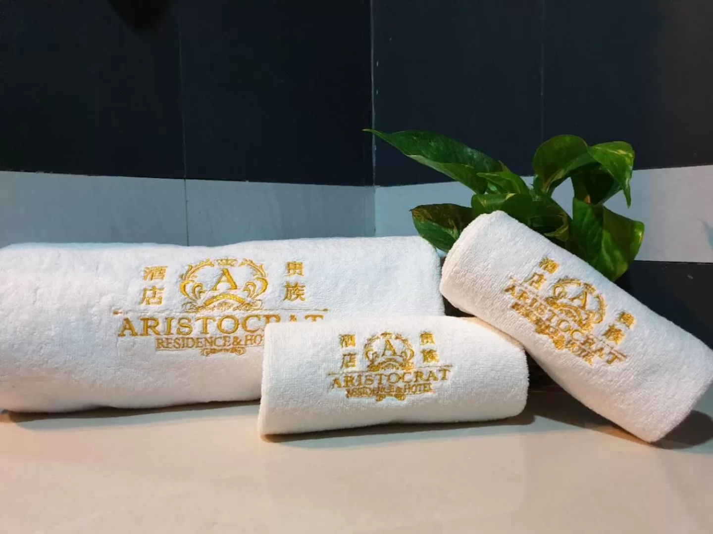 Property logo or sign in Aristocrat Residence & Hotel