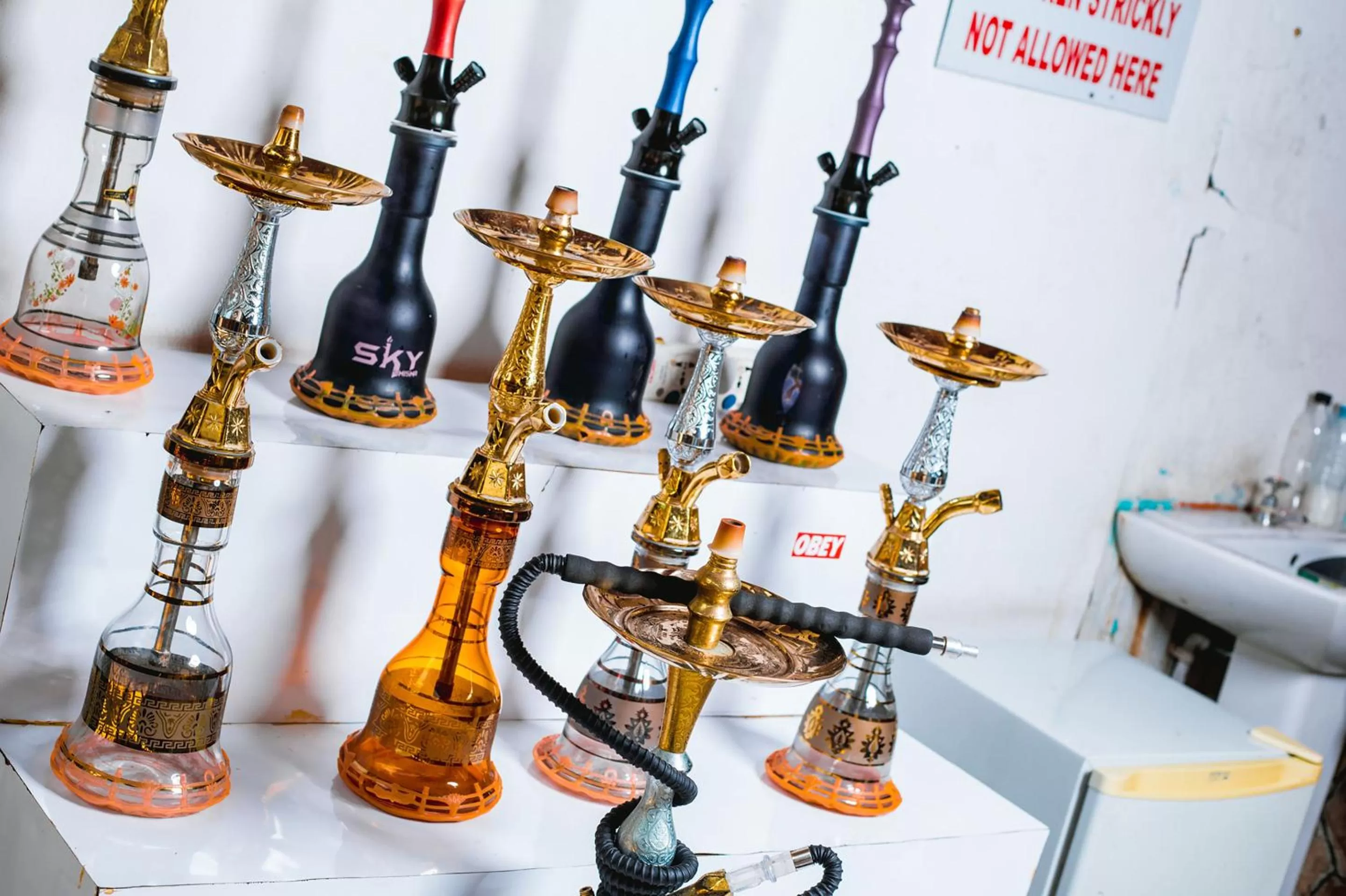 Evening entertainment in Best Western Jangwani Sea Breeze Resort