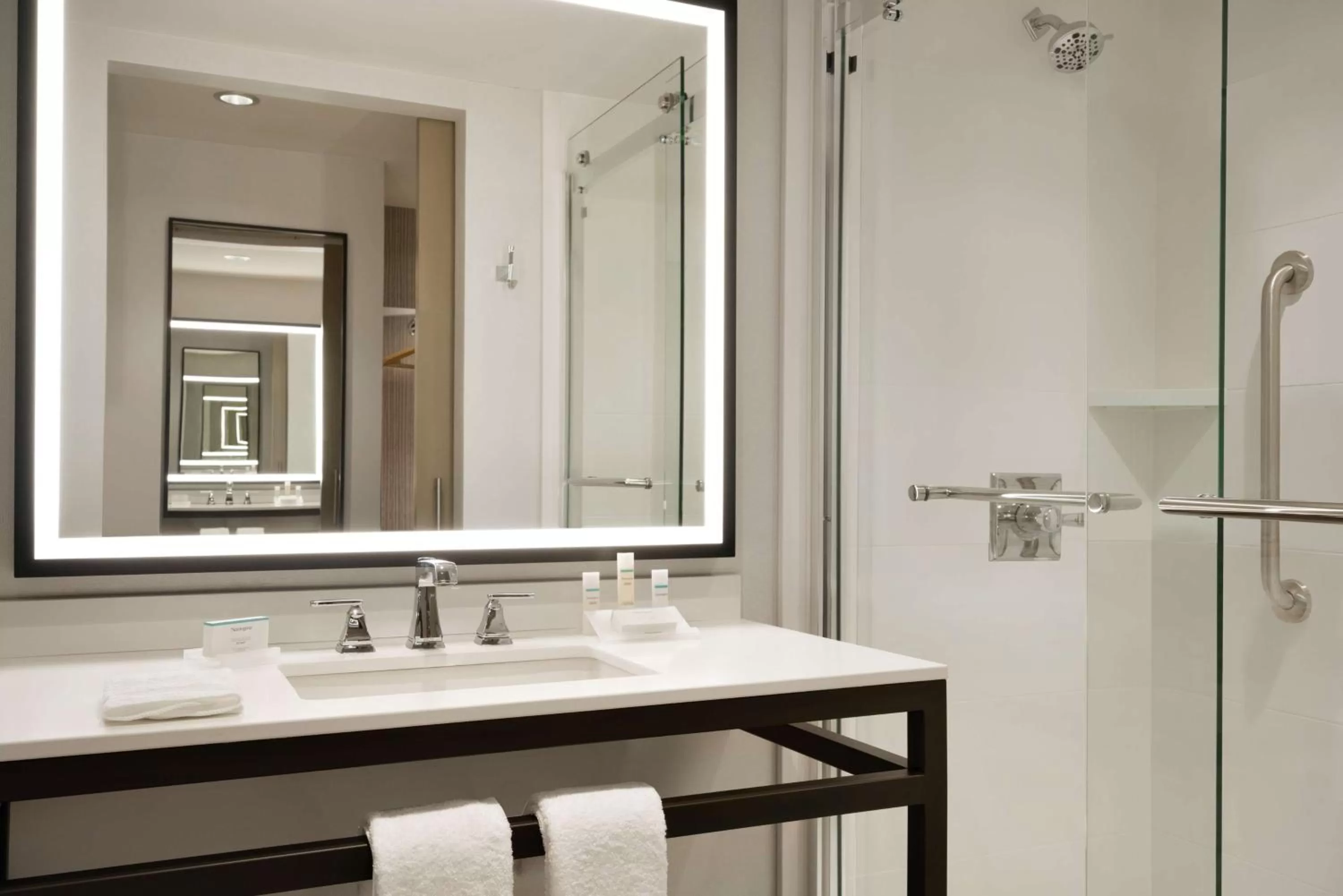 Bathroom in Hilton Garden Inn Newtown Square Radnor
