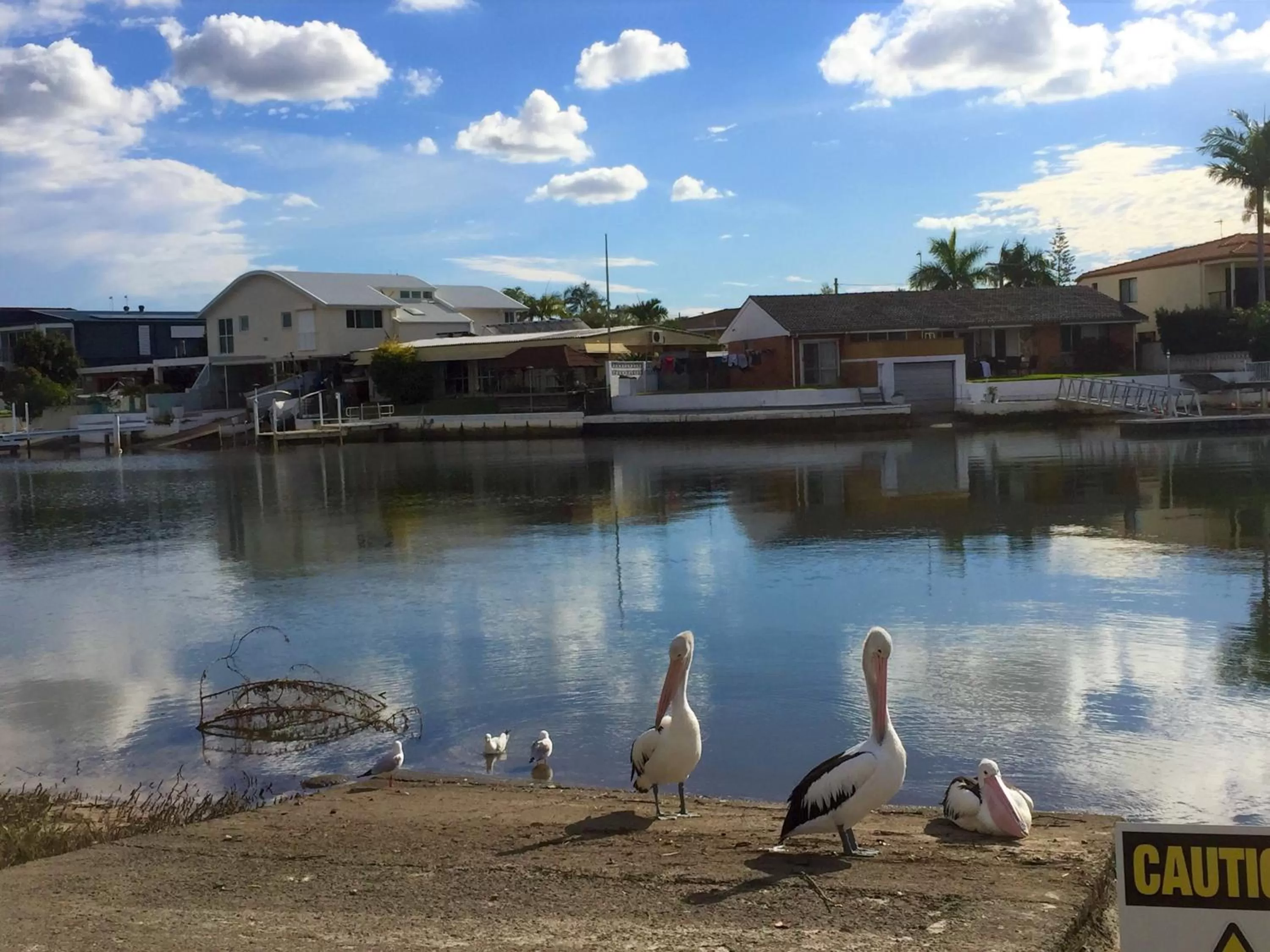 Natural landscape in Pelican Cove Waterfront Apartment